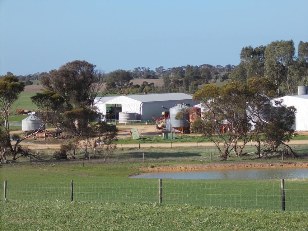 877 Stotts Road, Bordertown South SA 5268, Bordertown South - Thumbnail 5