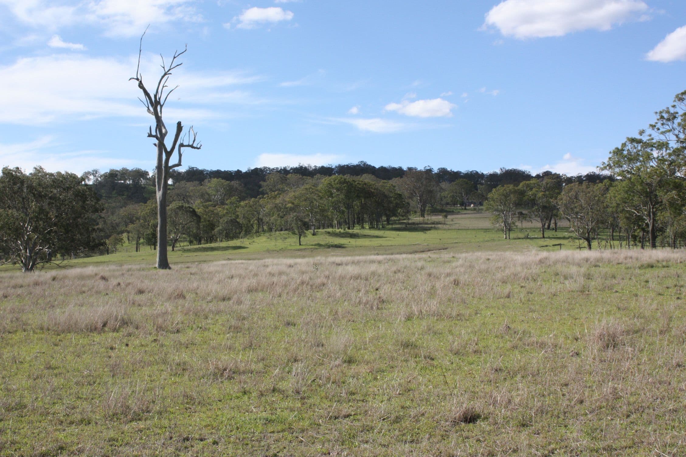 0 O'Keefe Road, Ramsay QLD 4358, Ramsay - Image 1