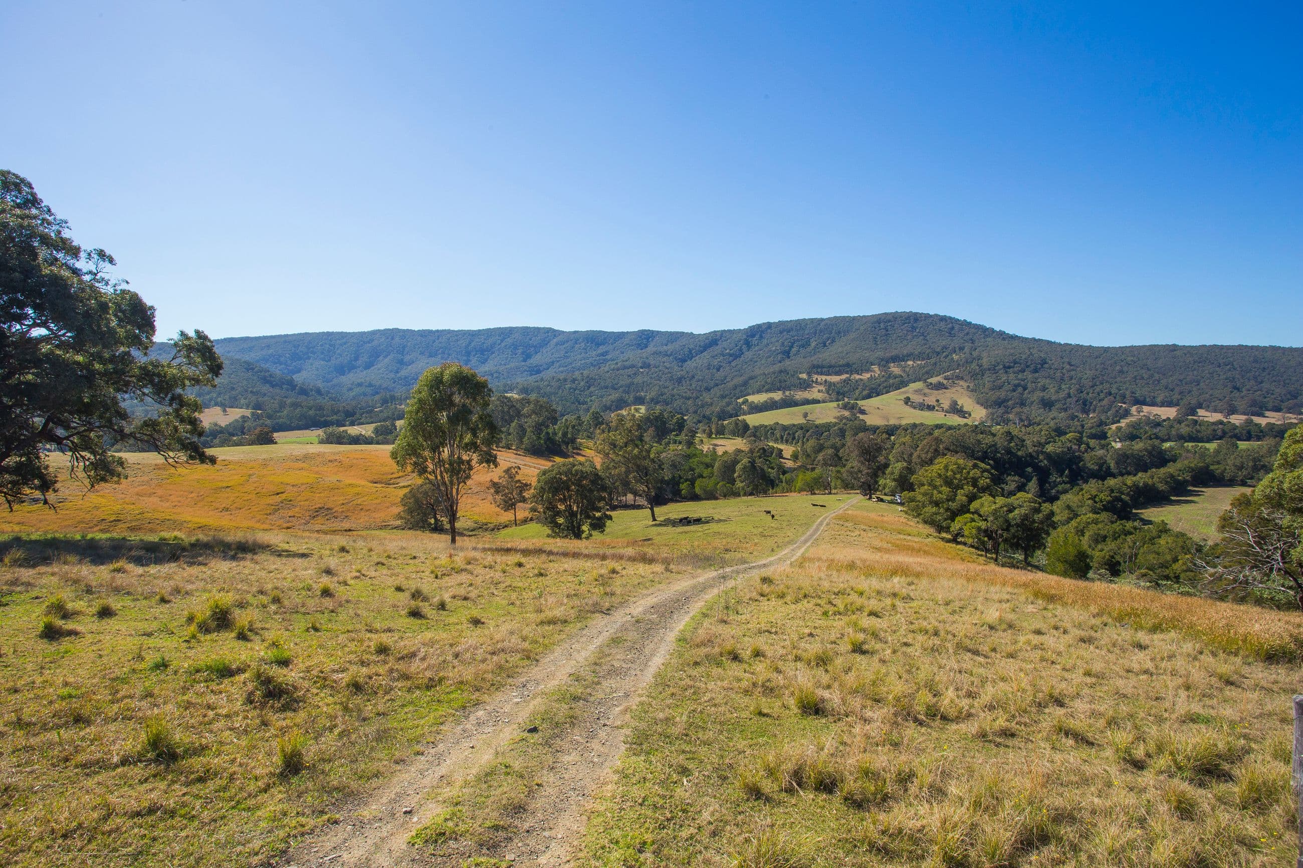 Lots 1-3 DP1103694 EP30785, DUNGOG NSW 2420, Dungog - Image 1