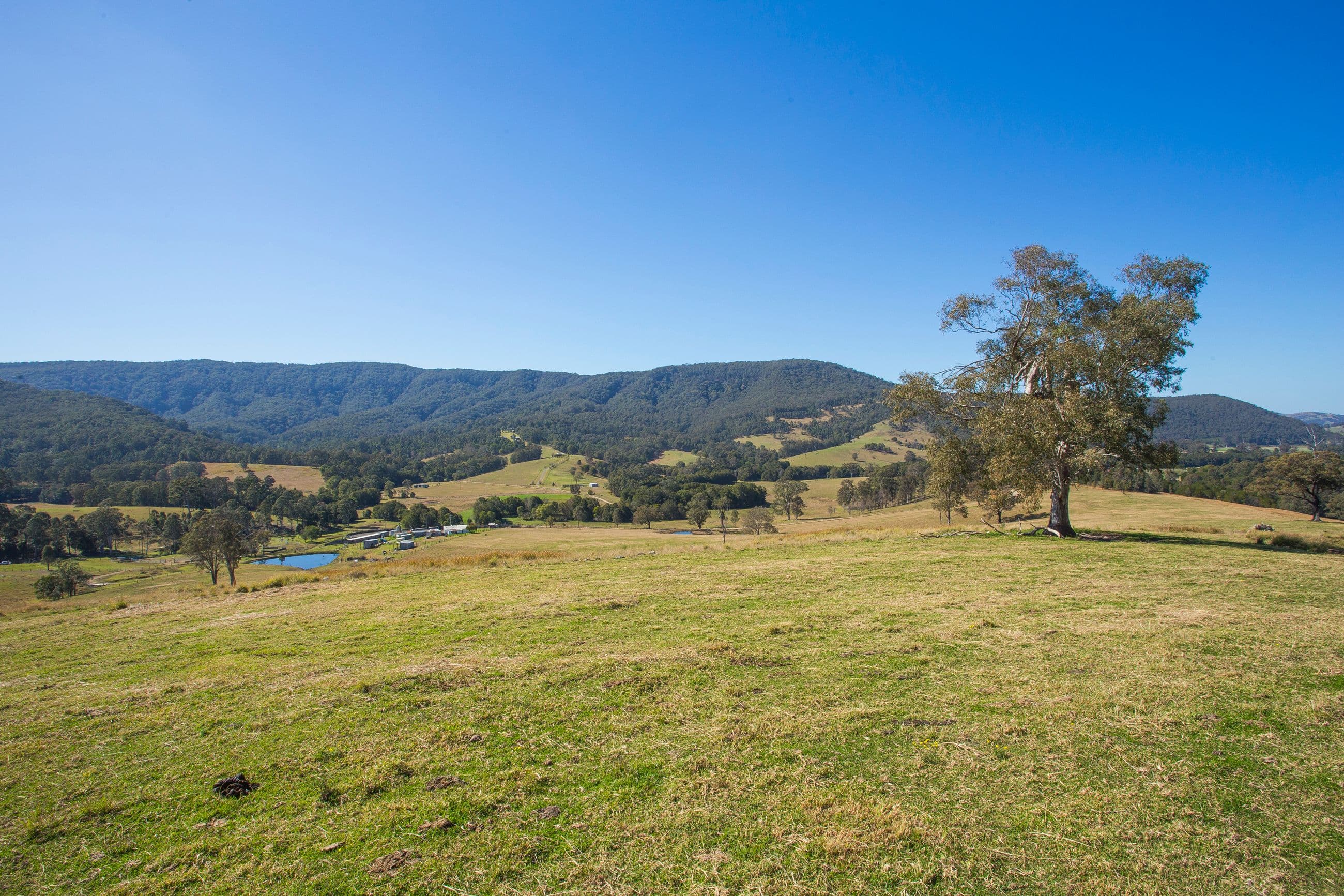 Lots 1-3 DP1103694 EP30785, DUNGOG NSW 2420, Dungog - Thumbnail 4