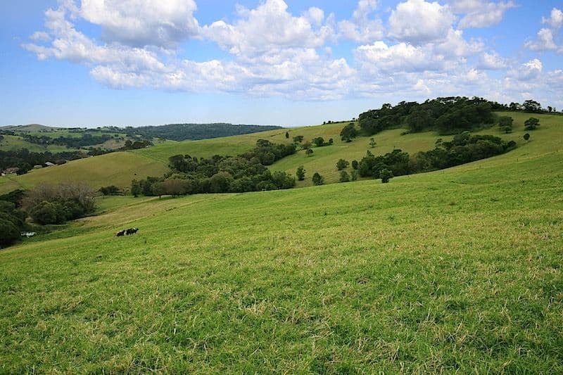 Lot 2 Wallaby Hill Road, Jamberoo NSW 2533, Jamberoo - Thumbnail 7