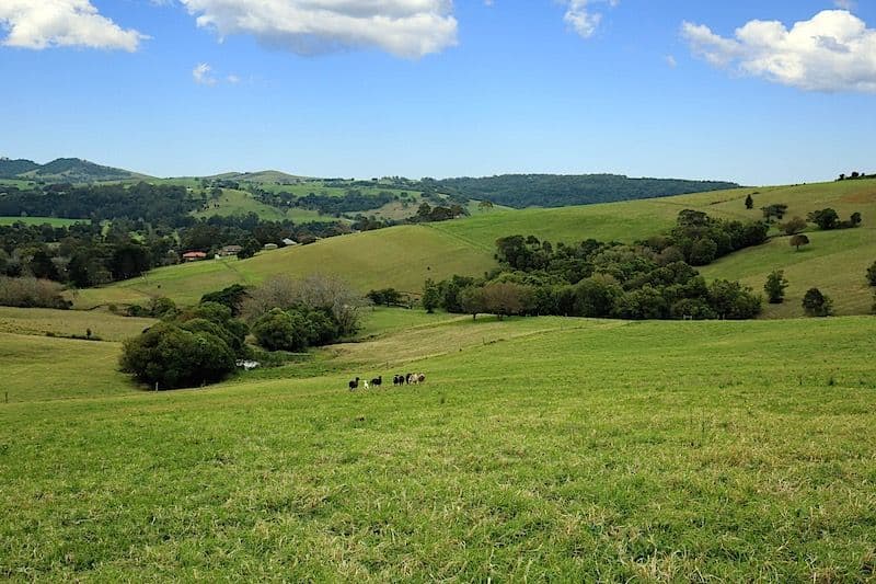 Lot 2 Wallaby Hill Road, Jamberoo NSW 2533, Jamberoo - Thumbnail 5