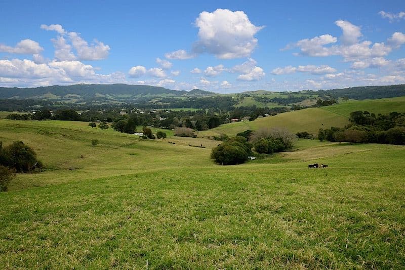 Lot 2 Wallaby Hill Road, Jamberoo NSW 2533, Jamberoo - Thumbnail 8