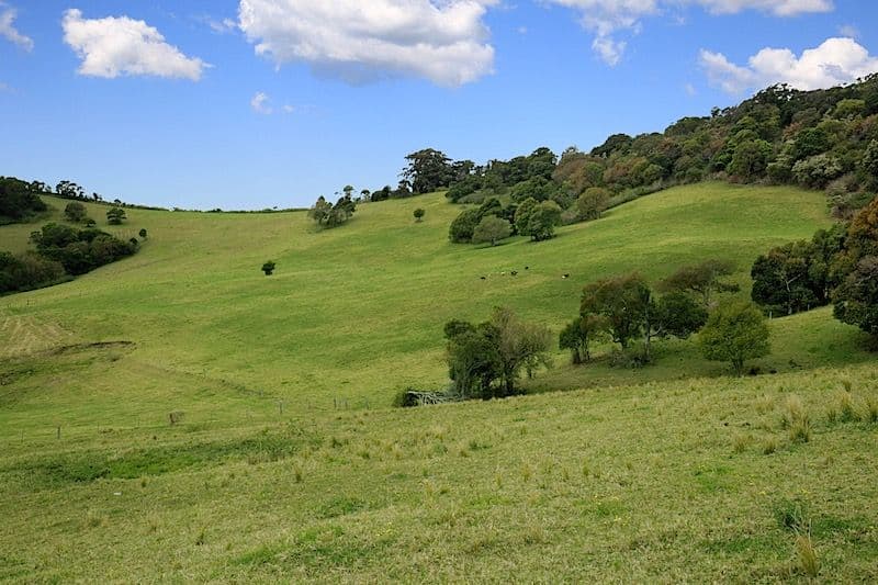 Lot 2 Wallaby Hill Road, Jamberoo NSW 2533, Jamberoo - Thumbnail 4