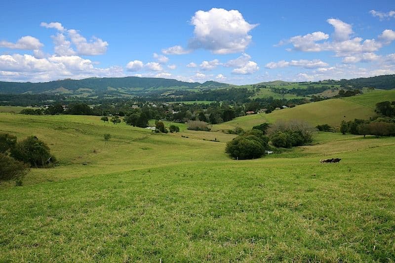 Lot 2 Wallaby Hill Road, Jamberoo NSW 2533, Jamberoo - Thumbnail 2