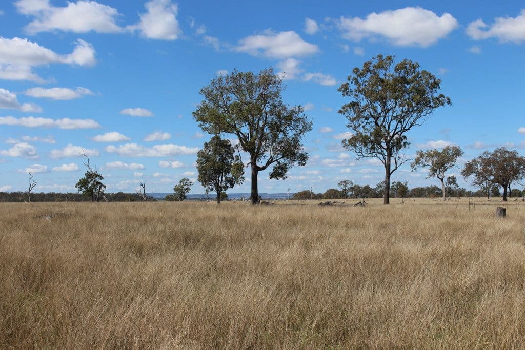 0 Umbiram School Road, Umbiram QLD 4352, Umbiram - Thumbnail 6