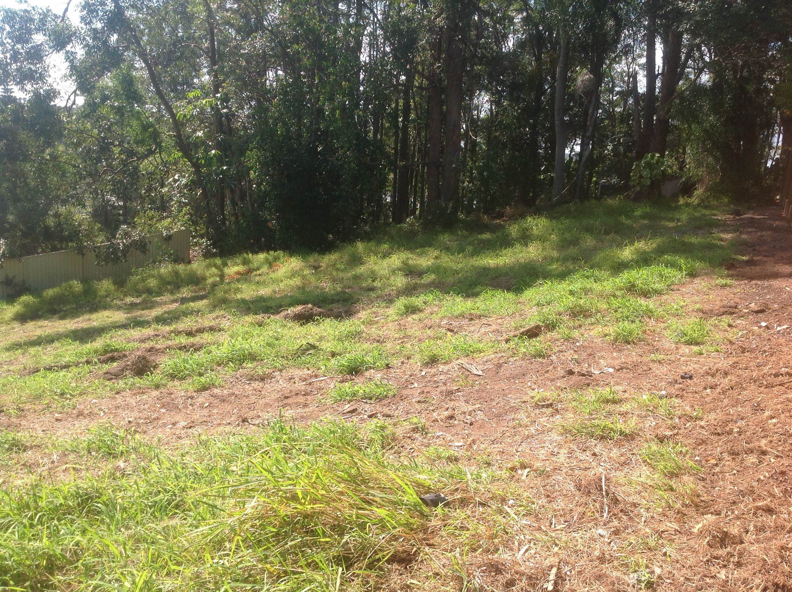 7 Summerfield Court, Bli Bli QLD 4560, Bli Bli - Thumbnail 3
