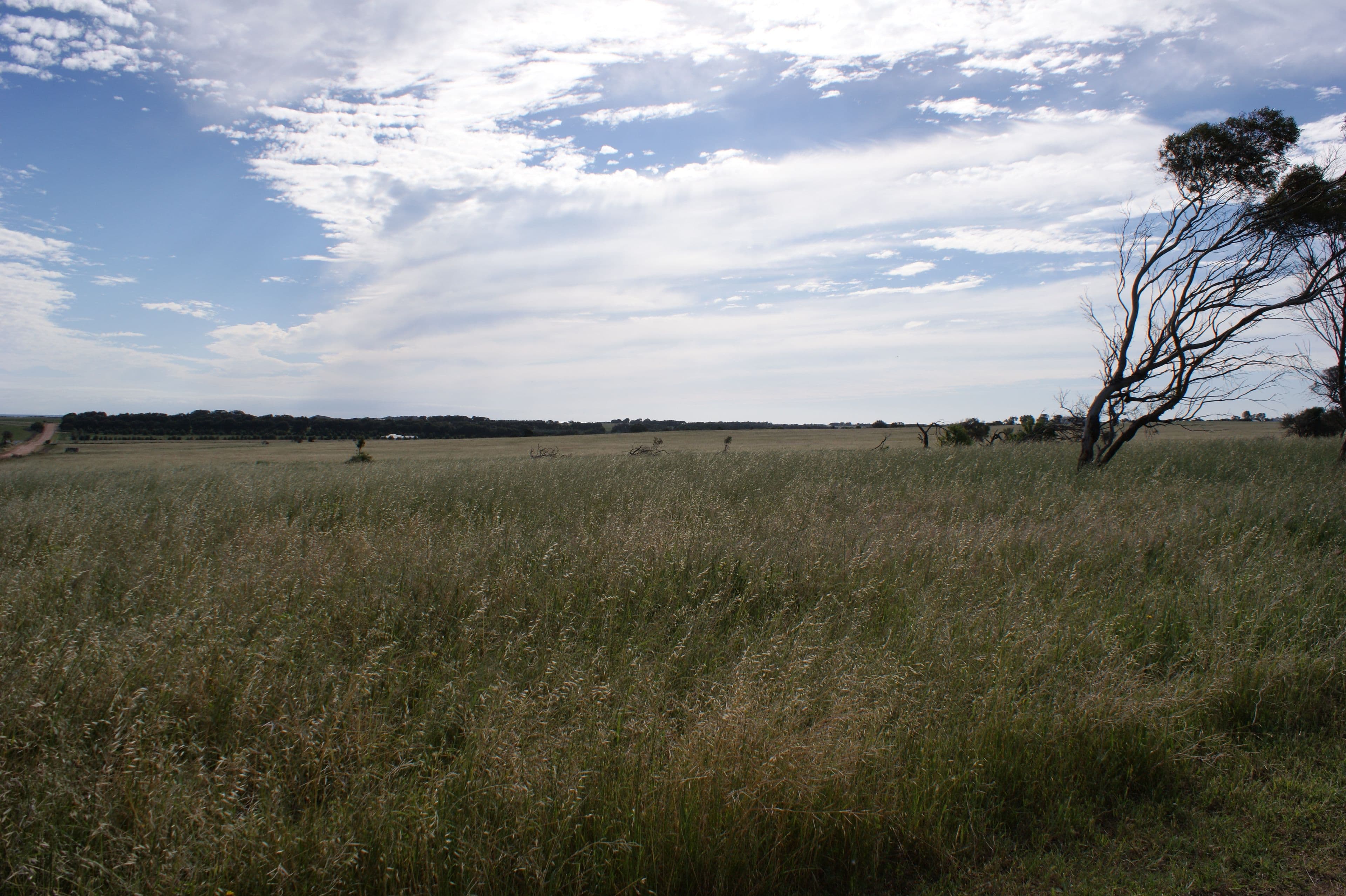 291 Steele Road, Bonniefield WA 6525, Bonniefield - Thumbnail 8