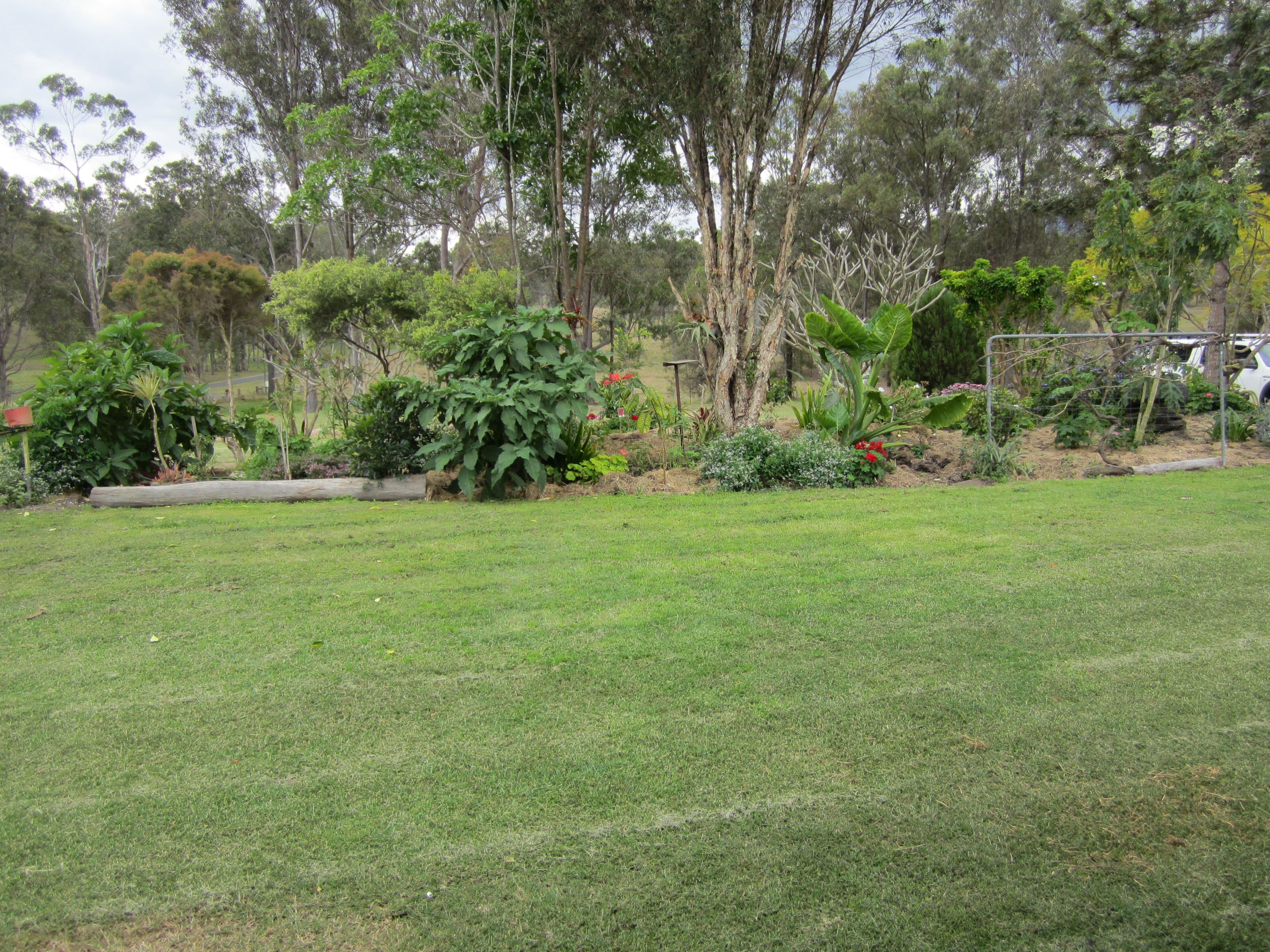 194 Junction Road, Kerry QLD 4285, Kerry - Thumbnail 4