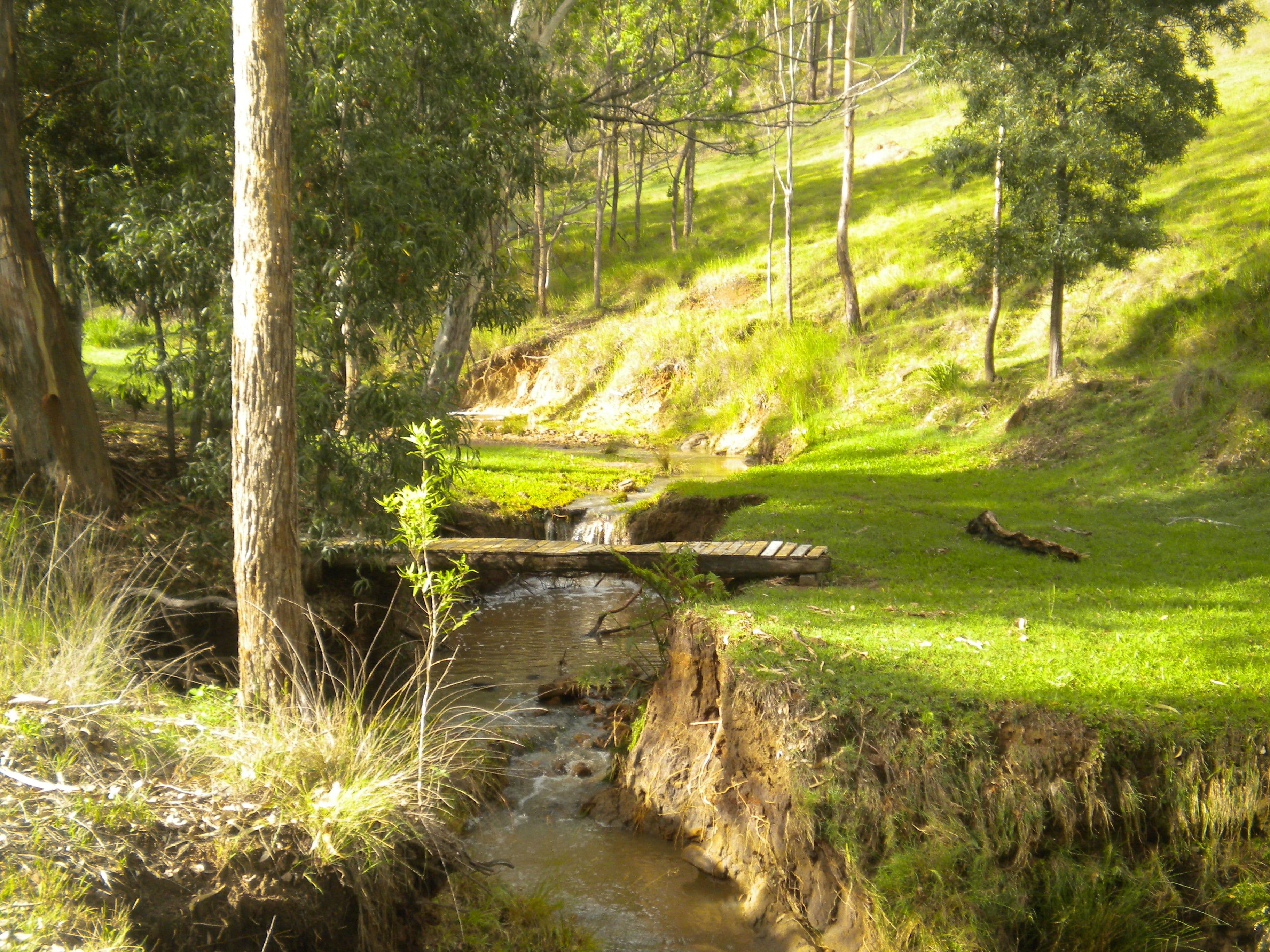 Rathdowney QLD 4287, Rathdowney - Thumbnail 8