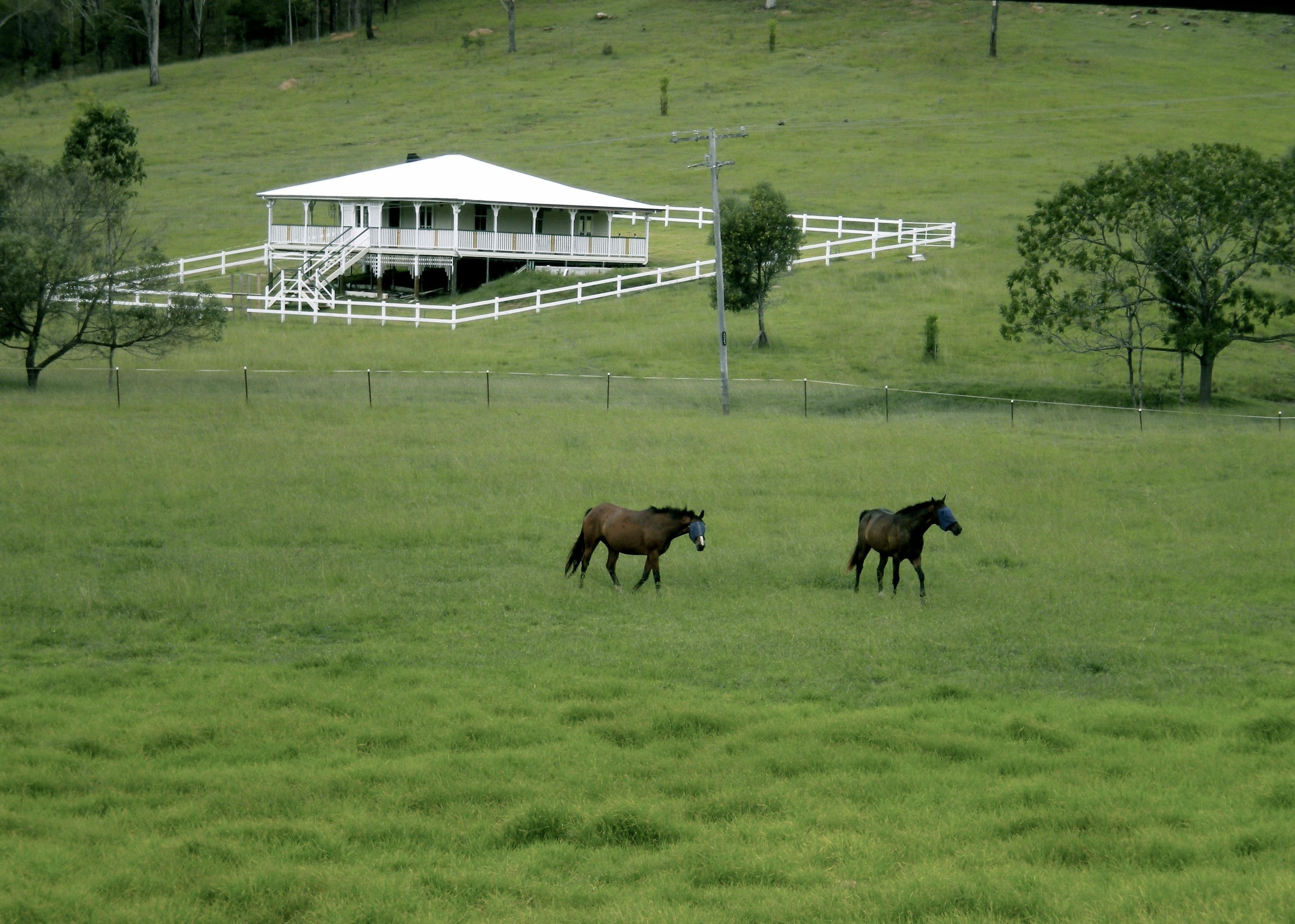 Rathdowney QLD 4287, Rathdowney - Image 1