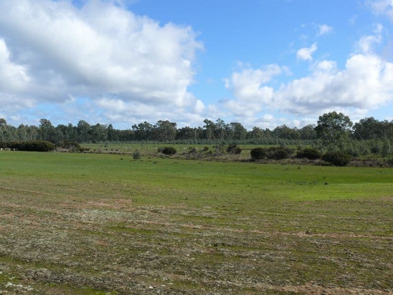 CA 2 and 2A S Costerfield - Graytown Road, GRAYTOWN VIC 3608, Graytown - Thumbnail 7