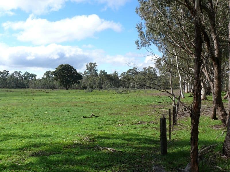 CA 2 and 2A S Costerfield - Graytown Road, GRAYTOWN VIC 3608, Graytown - Thumbnail 2