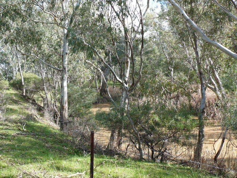 CA 2 and 2A S Costerfield - Graytown Road, GRAYTOWN VIC 3608, Graytown - Thumbnail 4