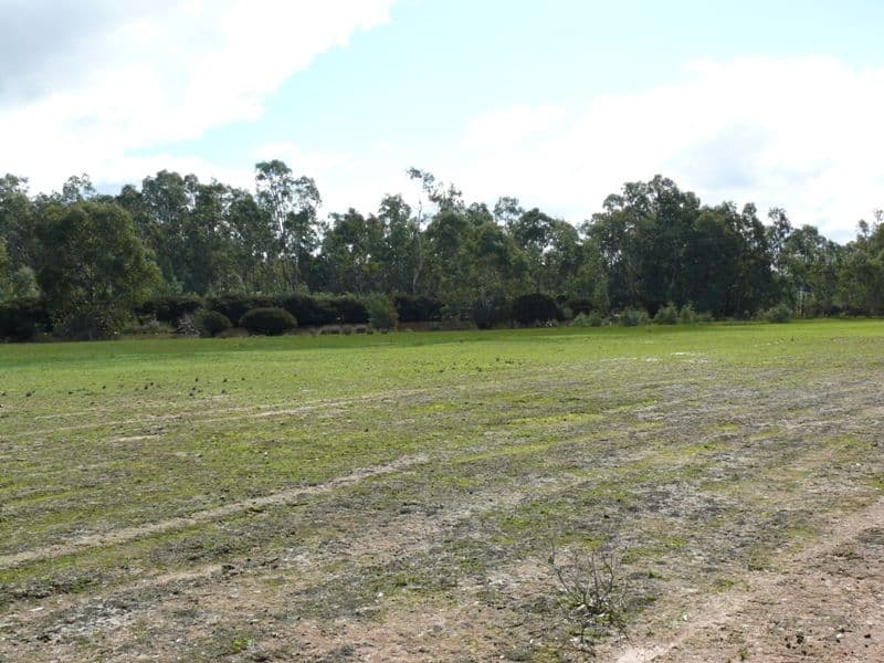 CA 2 and 2A S Costerfield - Graytown Road, GRAYTOWN VIC 3608, Graytown - Thumbnail 6