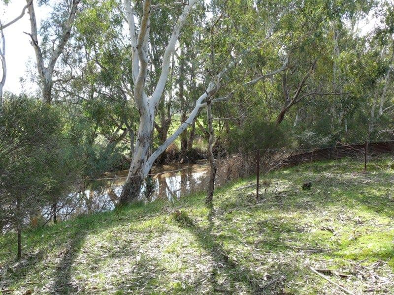 CA 2 and 2A S Costerfield - Graytown Road, GRAYTOWN VIC 3608, Graytown - Thumbnail 3