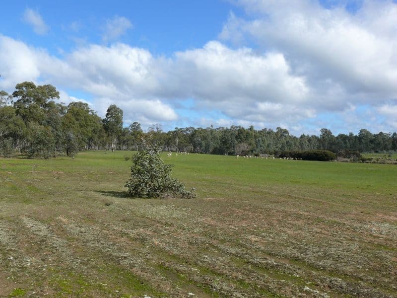 CA 2 and 2A S Costerfield - Graytown Road, GRAYTOWN VIC 3608, Graytown - Thumbnail 8
