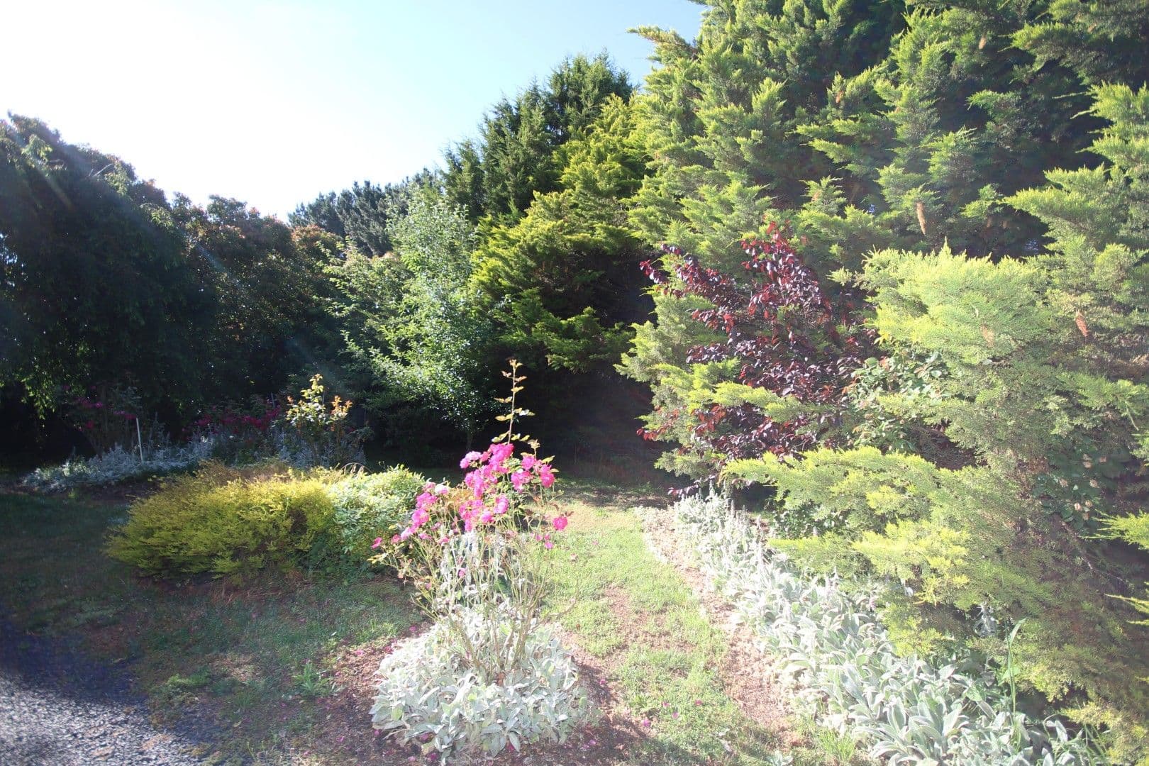 9 Clover Lane, Oberon NSW 2787, Oberon - Thumbnail 6