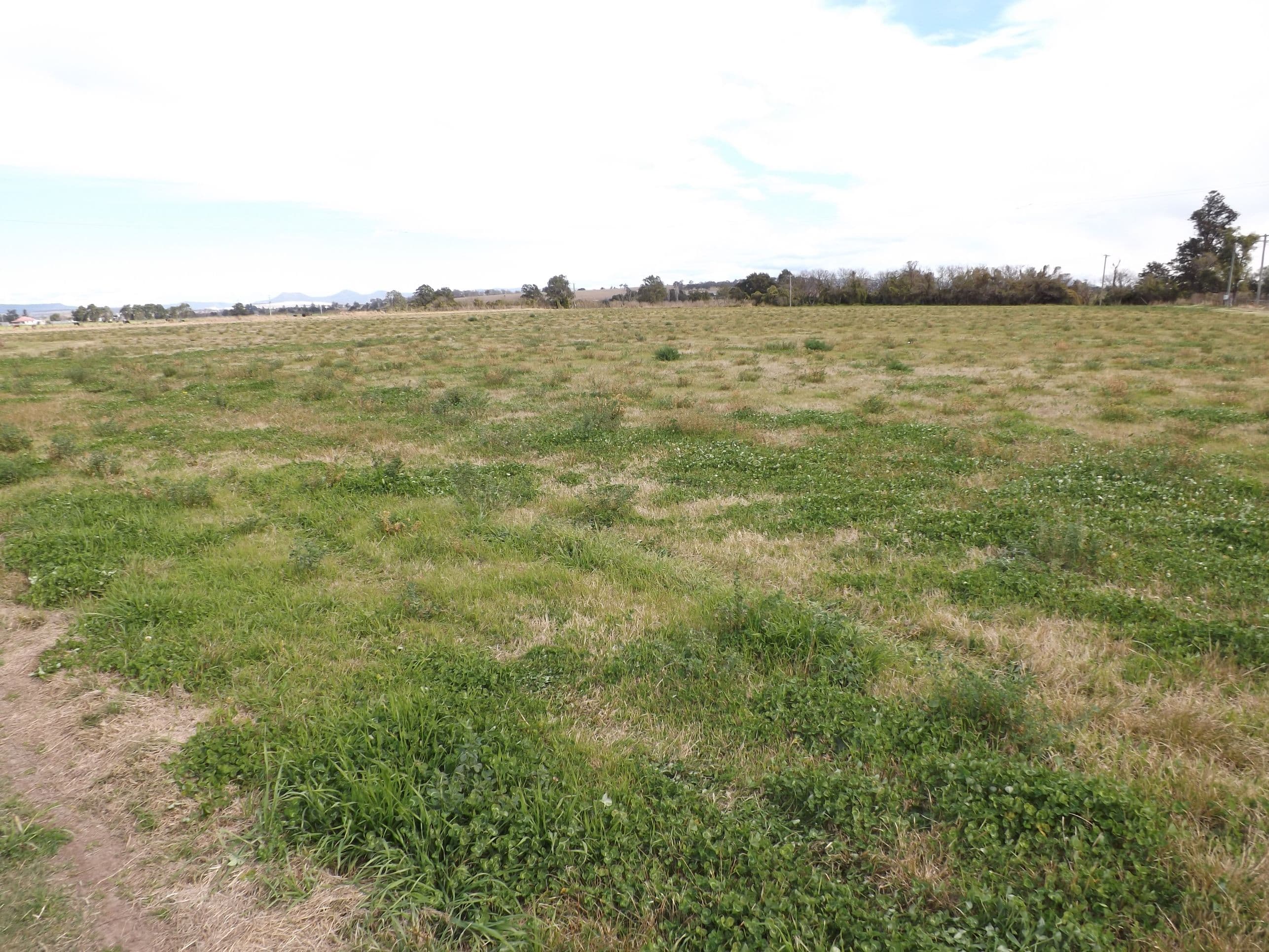 76 Glenridding Road, Singleton NSW 2330, Singleton - Thumbnail 4