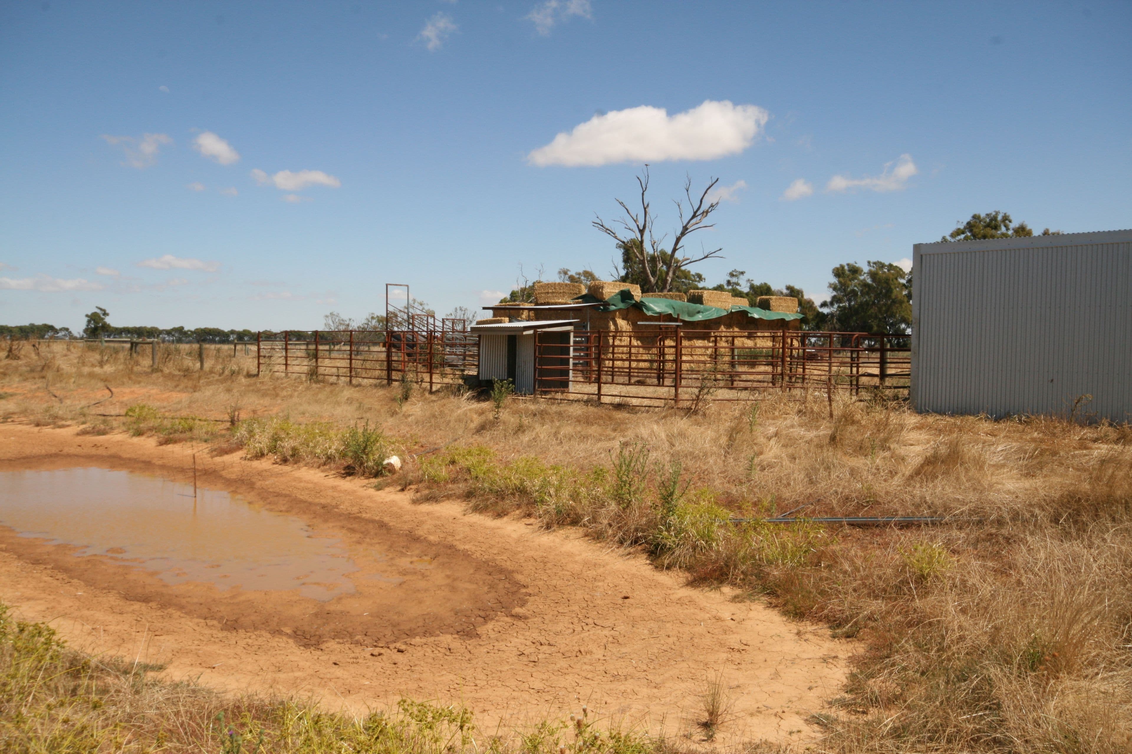 1670 Whinfield Road, Kotta VIC 3565, Kotta - Thumbnail 4