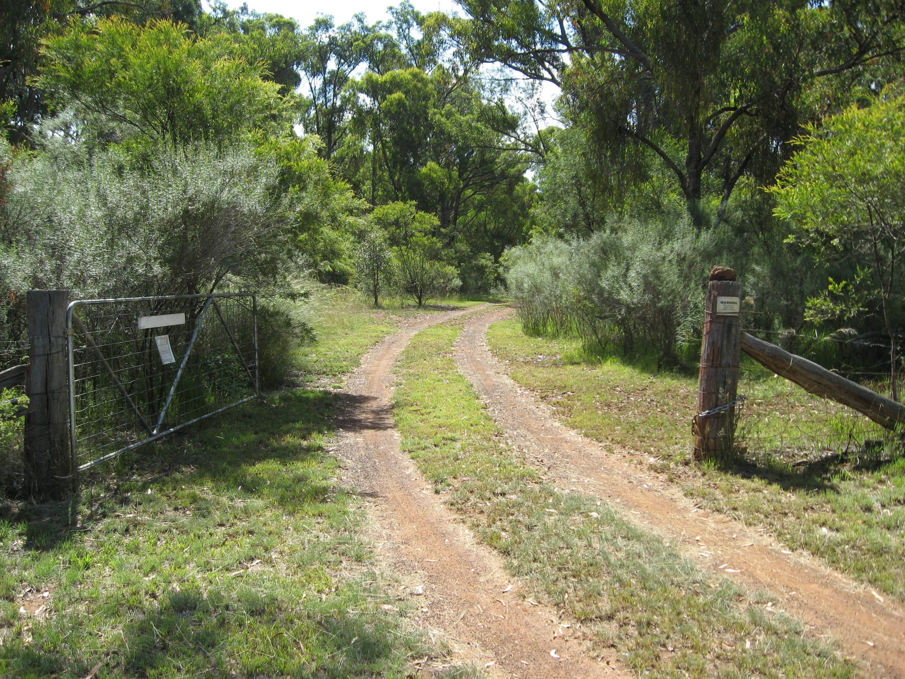 95 Cadell Road, Emmaville NSW 2371, Emmaville - Image 1