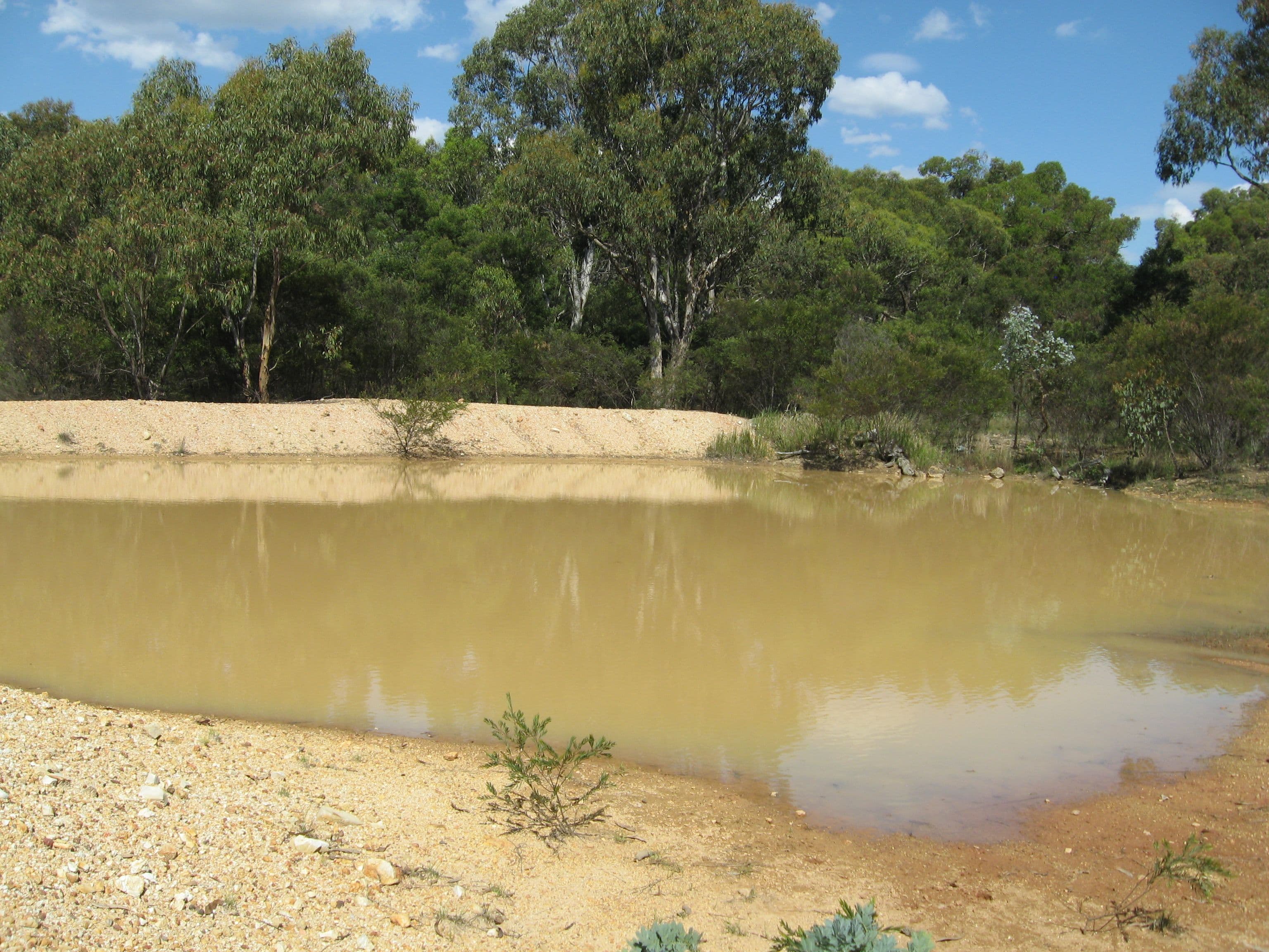 95 Cadell Road, Emmaville NSW 2371, Emmaville - Thumbnail 8