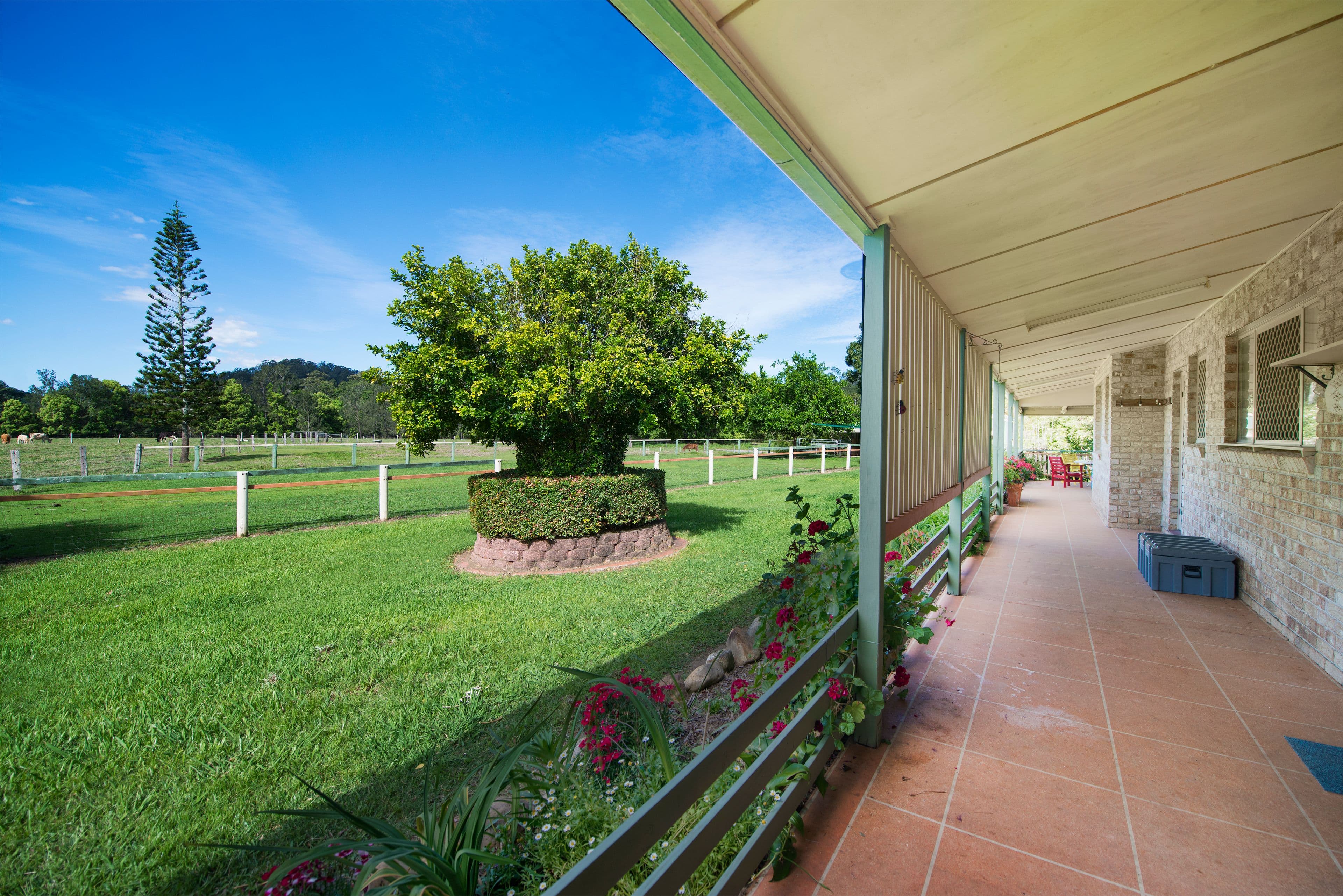 400 Chilcotts Road, Chillingham NSW 2484, Chillingham - Thumbnail 7