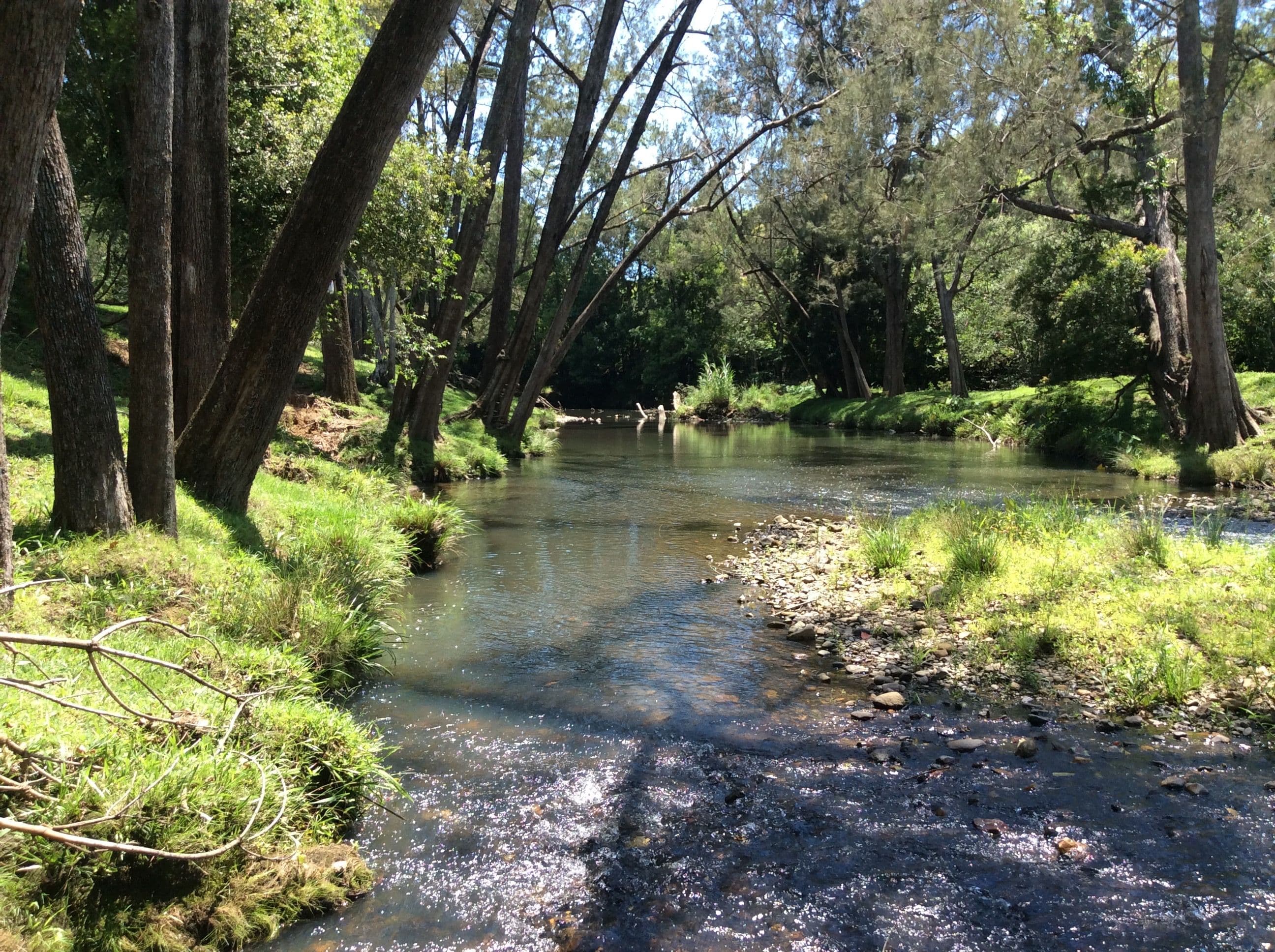 400 Chilcotts Road, Chillingham NSW 2484, Chillingham - Thumbnail 2