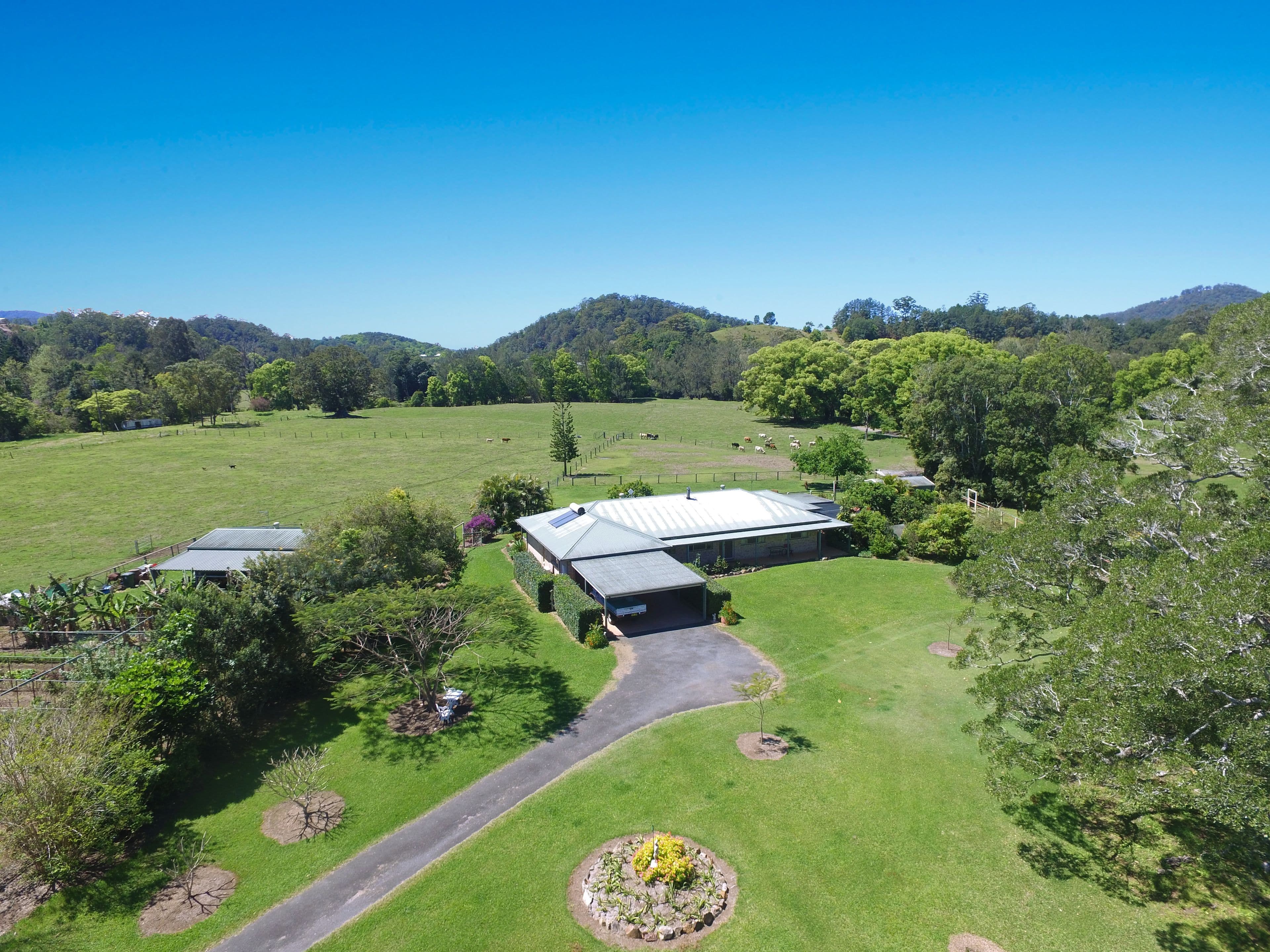 400 Chilcotts Road, Chillingham NSW 2484, Chillingham - Thumbnail 3