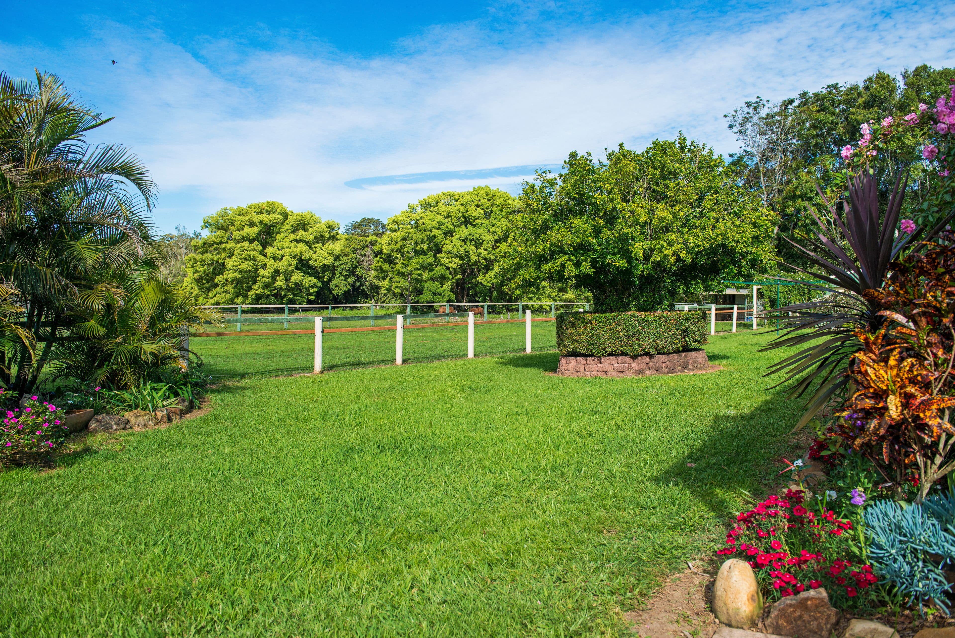 400 Chilcotts Road, Chillingham NSW 2484, Chillingham - Thumbnail 5