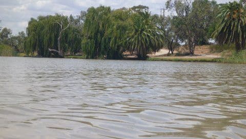 418 Gorton Drive, KANGAROO LAKE VIC 3581, Kangaroo Lake - Thumbnail 4