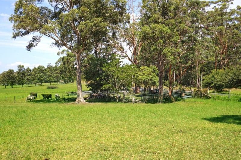 820 Illaroo Road, Cambewarra NSW 2540, Cambewarra - Thumbnail 8