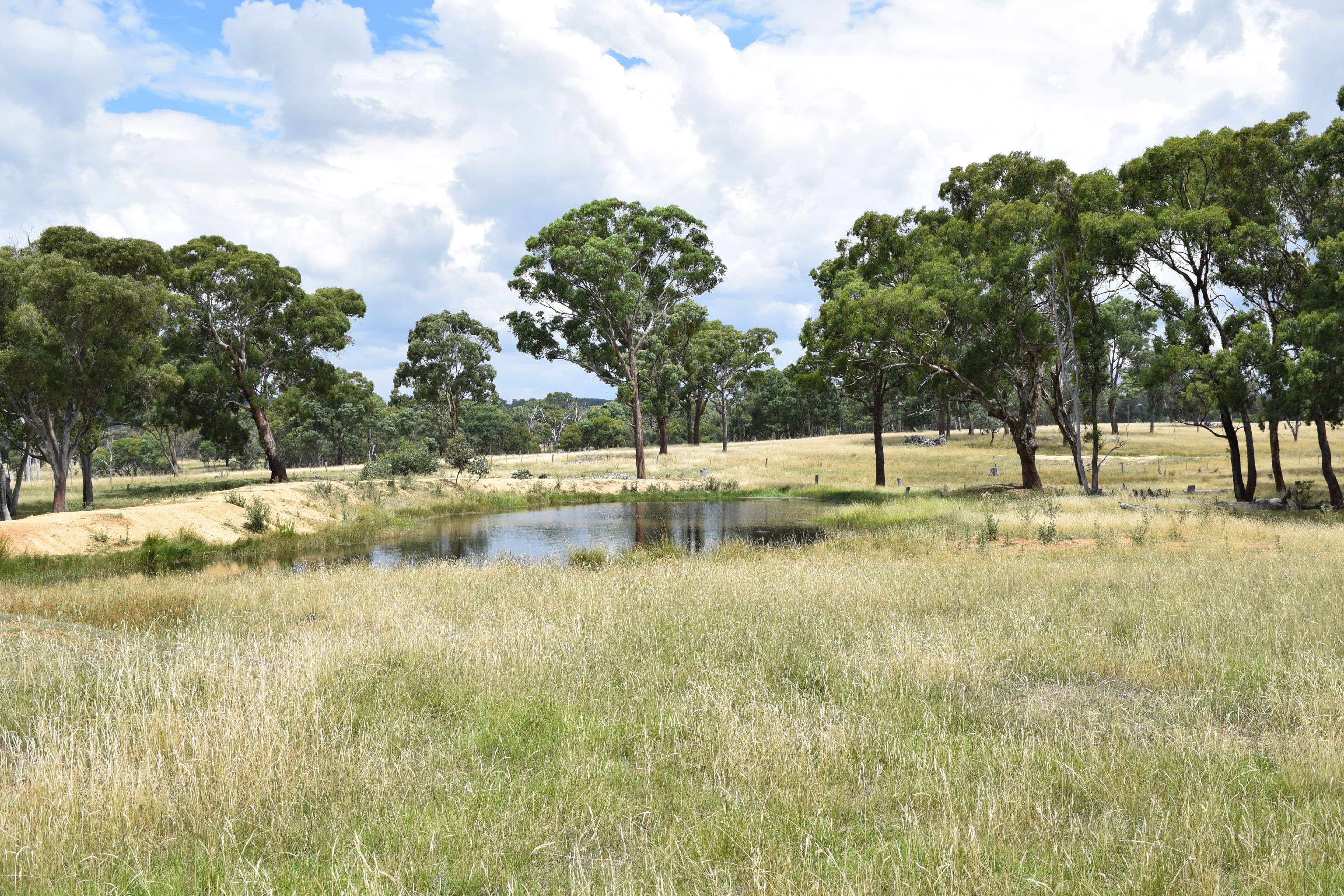 Green Valley 279 Taylors Road, Guyra NSW 2365, Guyra - Thumbnail 6