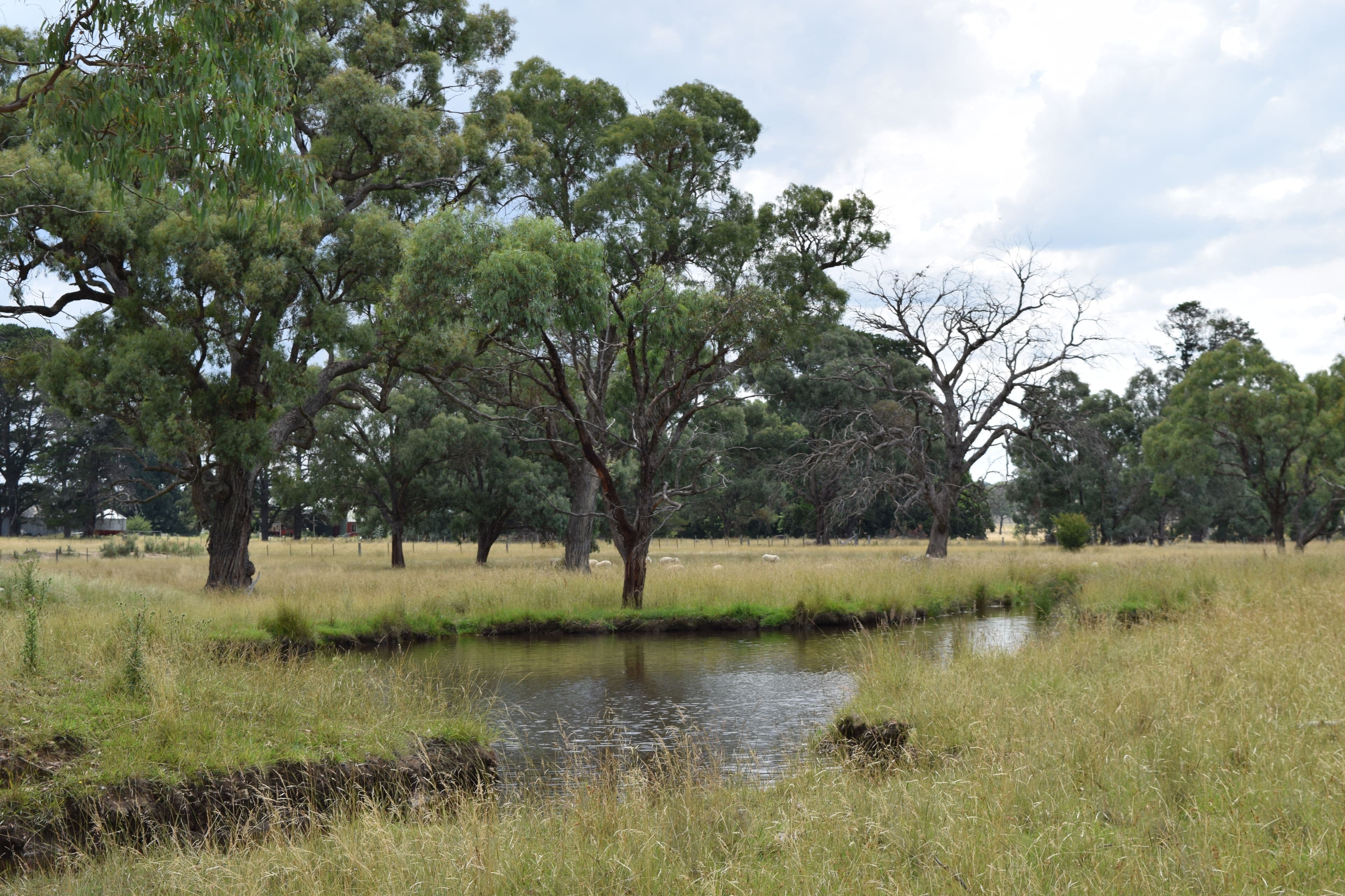 Green Valley 279 Taylors Road, Guyra NSW 2365, Guyra - Image 1