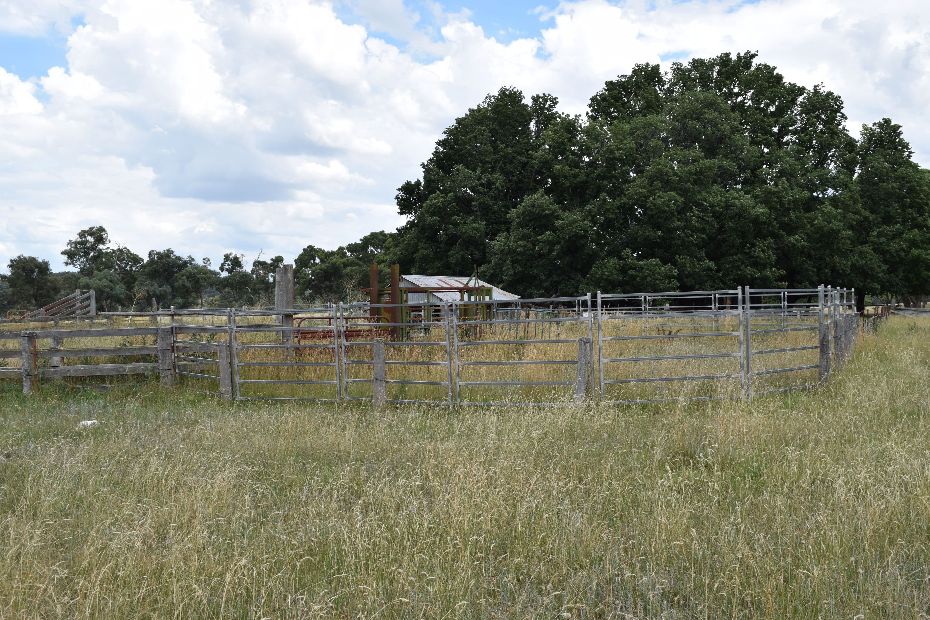 Green Valley 279 Taylors Road, Guyra NSW 2365, Guyra - Thumbnail 3