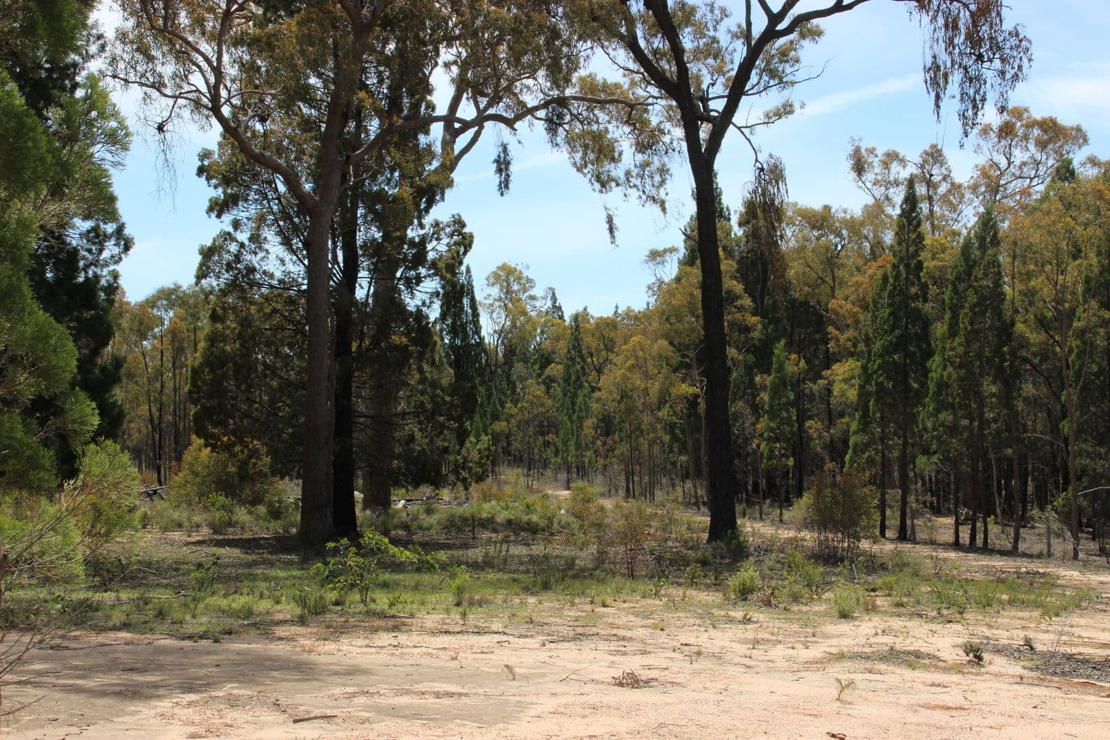 834 QUAKER TOMMY Road, Coonabarabran NSW 2357, Coonabarabran - Thumbnail 5