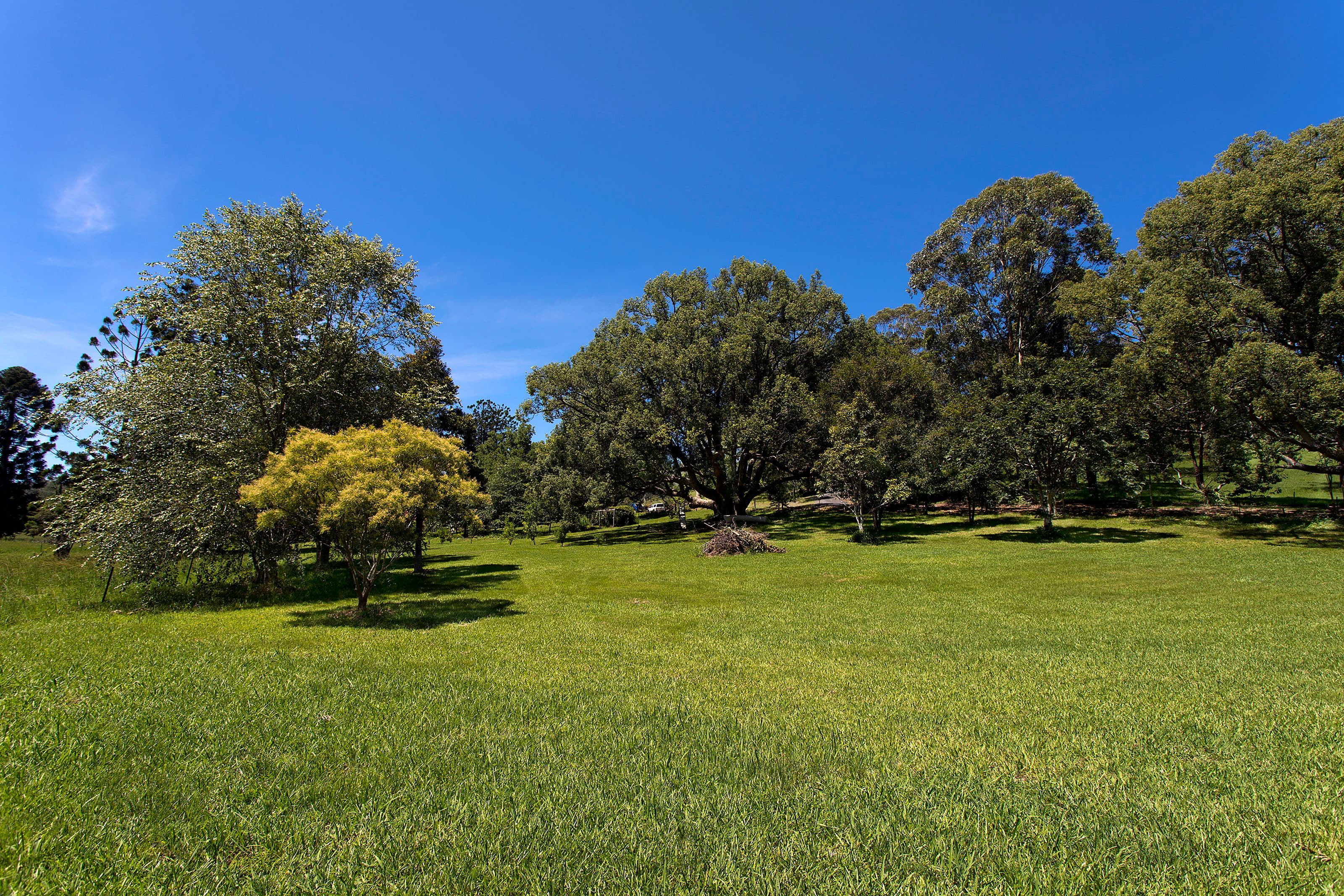 249a North Island Loop Road, Upper Orara NSW 2450, Upper Orara - Thumbnail 2