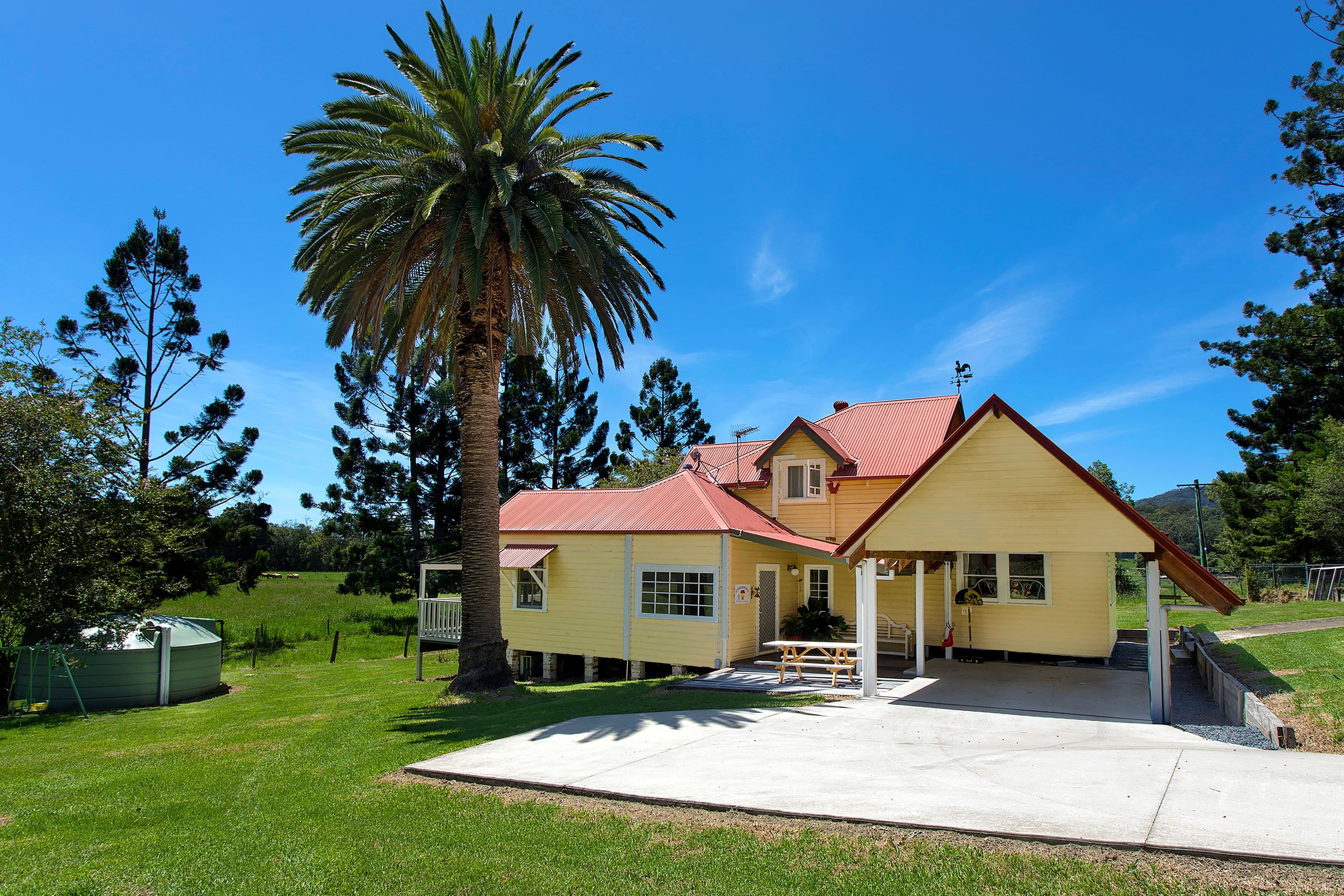249a North Island Loop Road, Upper Orara NSW 2450, Upper Orara - Image 1