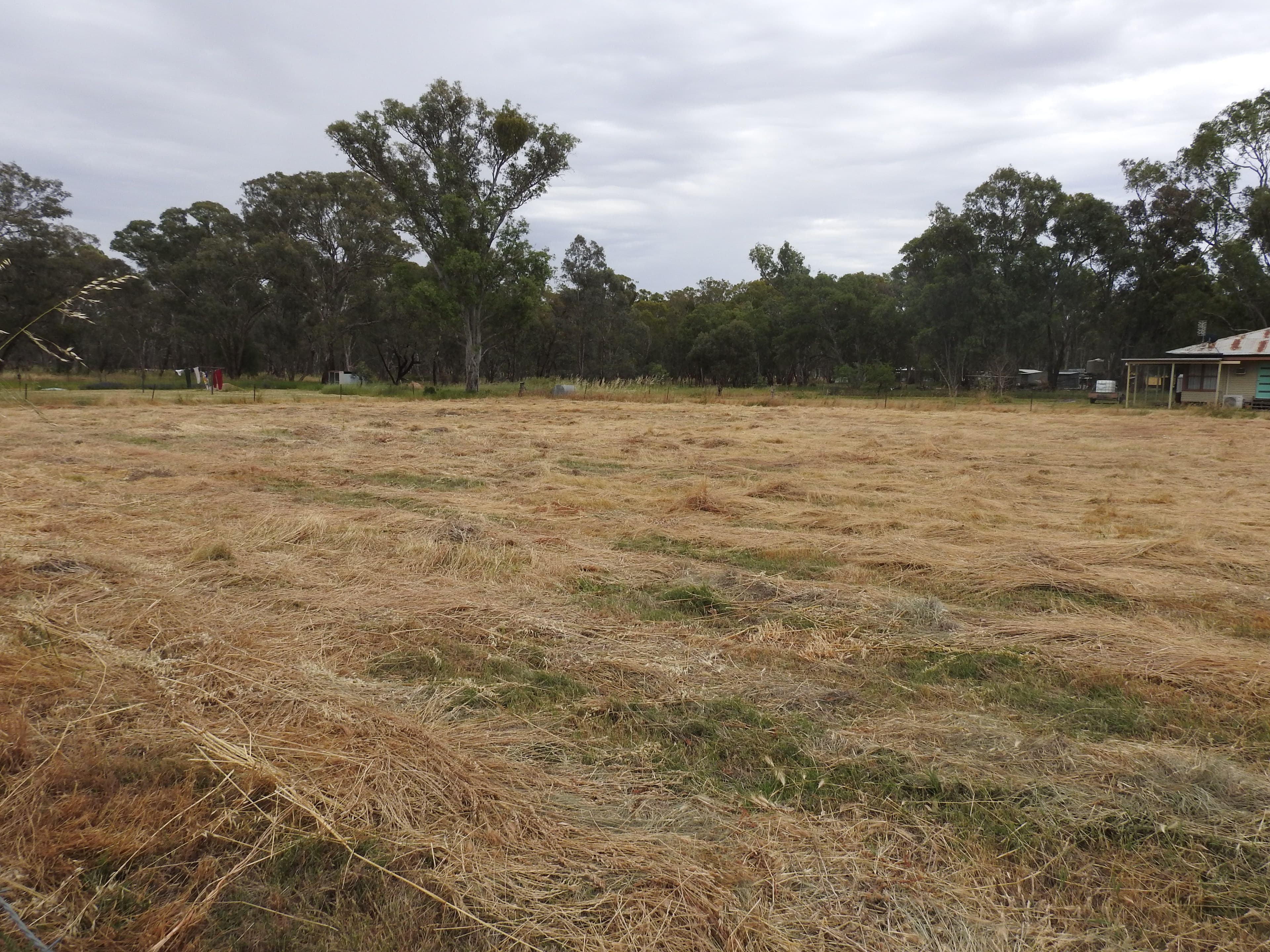 24 Monteagle Stock Route Rd West, Monteagle NSW 2594, Monteagle - Thumbnail 4