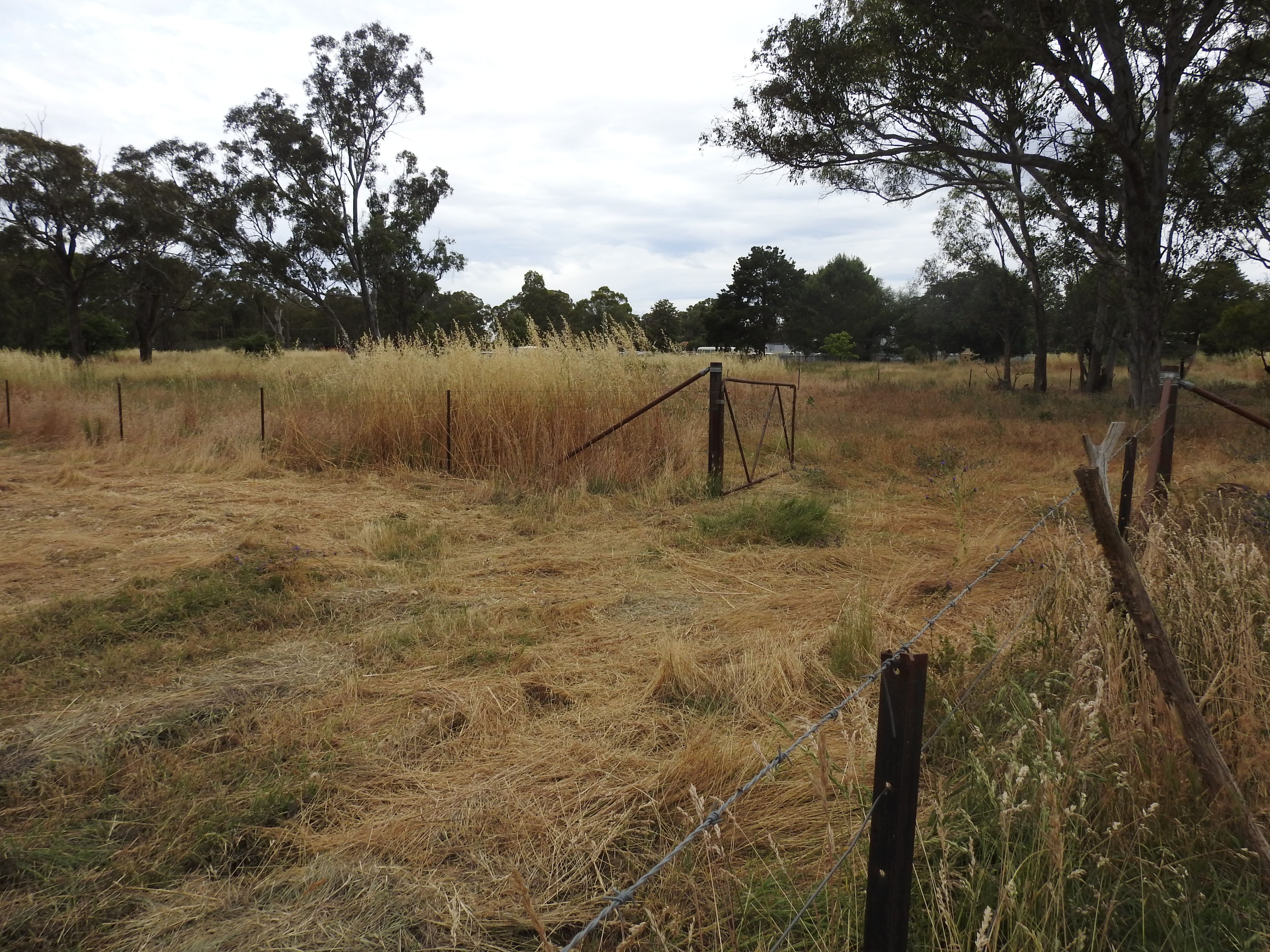 24 Monteagle Stock Route Rd West, Monteagle NSW 2594, Monteagle - Thumbnail 5