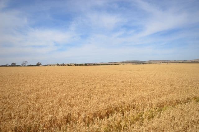 Various Secs Pine Creek Road, Bethel SA 5373, Bethel - Thumbnail 6