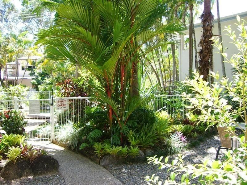 15 Tropic Court, PORT DOUGLAS QLD 4877, Port Douglas - Thumbnail 6