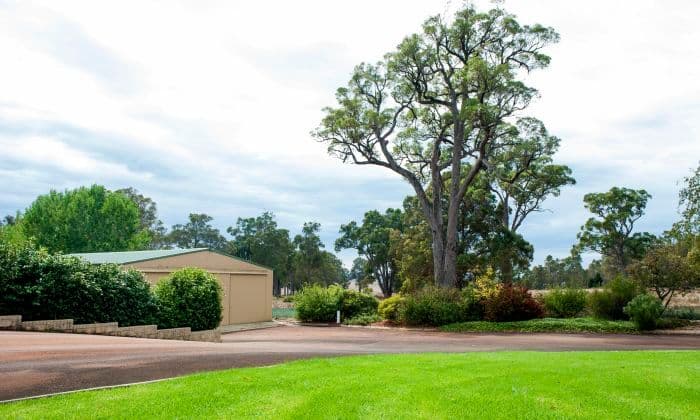 41 Manjin Drive, Manjimup WA 6258, Manjimup - Thumbnail 2