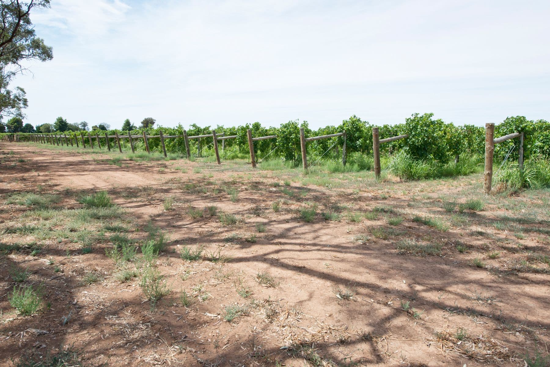 19 McLean Lane, Vinifera VIC 3591, Vinifera - Thumbnail 6