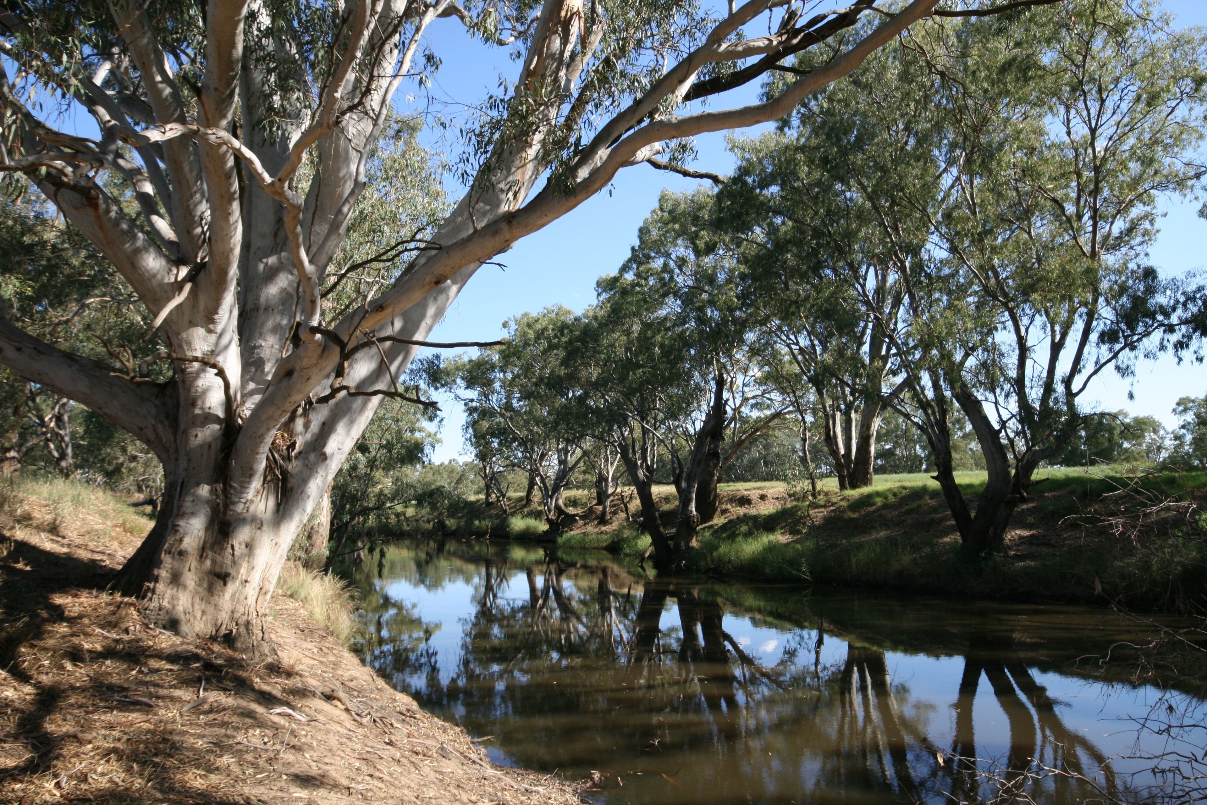 4979 Northern Highway, Elmore VIC 3558, Elmore - Thumbnail 2