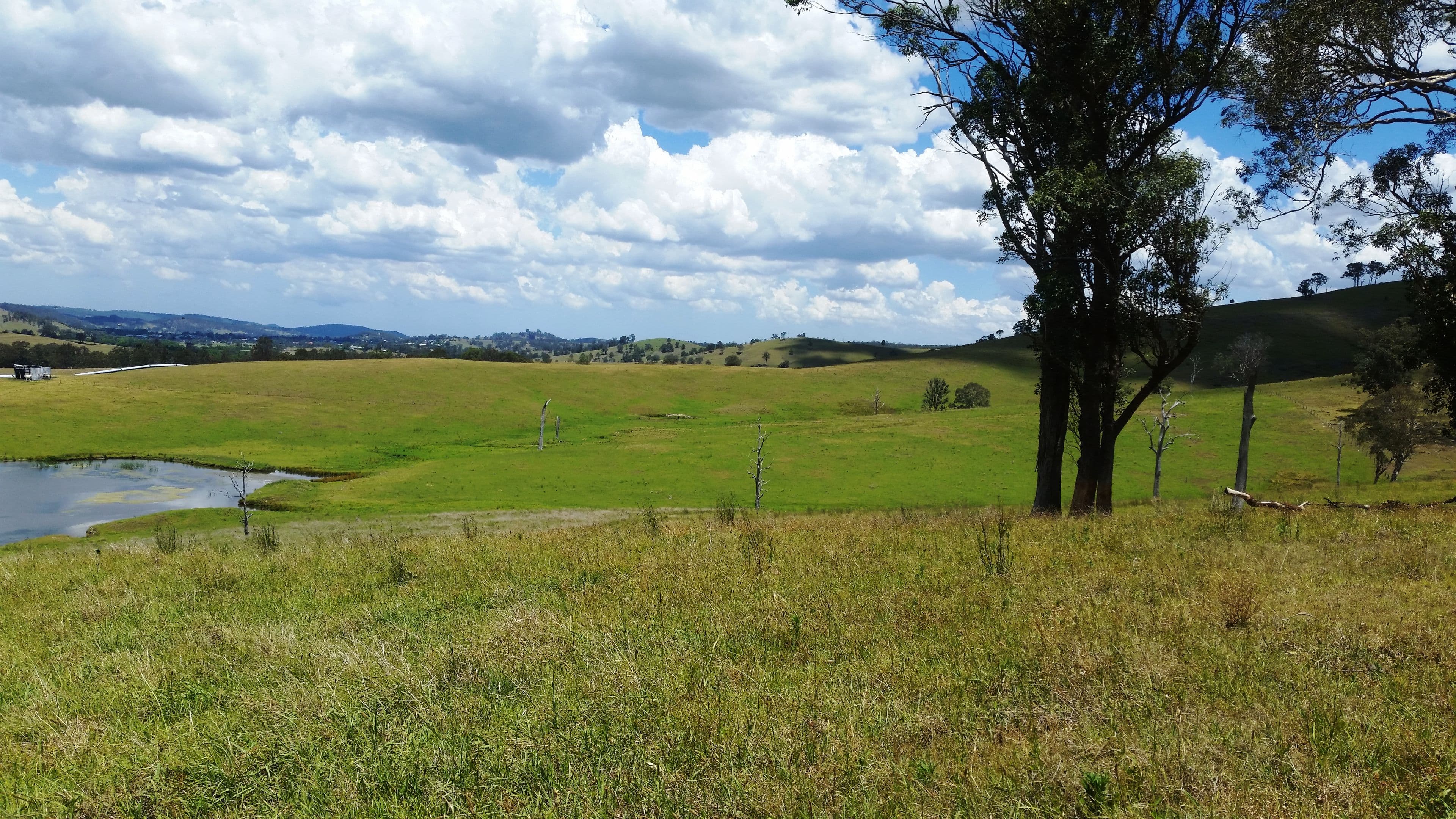 Lot 13 DP621541 Hennys Road, DUNGOG NSW 2420, Dungog - Image 1