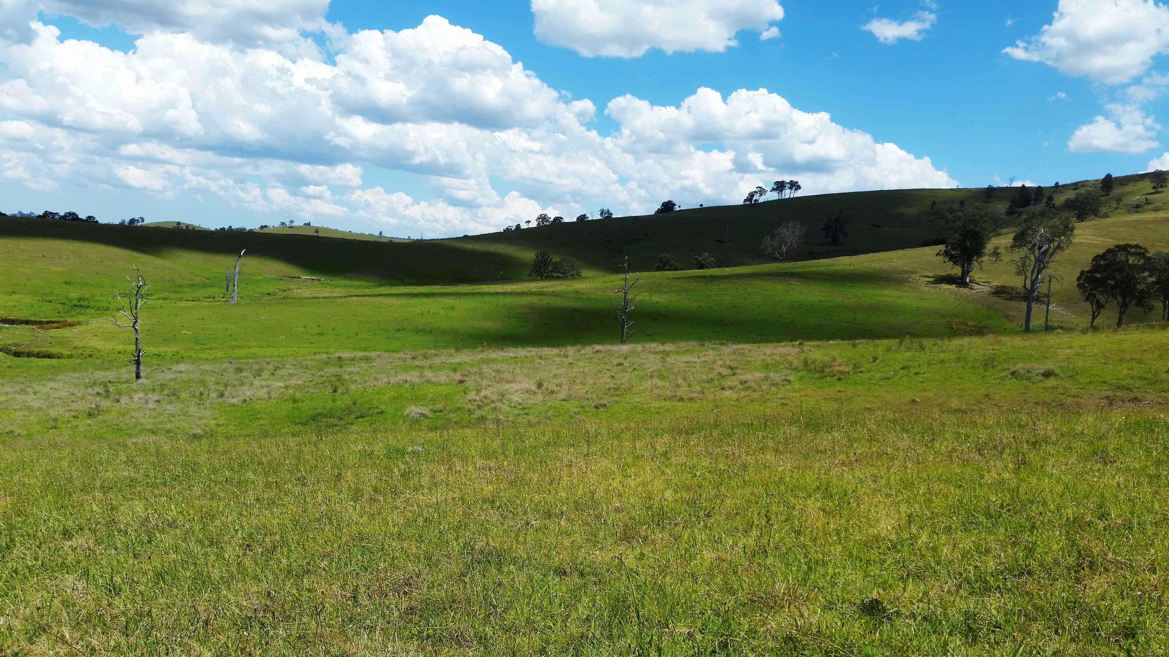 Lot 13 DP621541 Hennys Road, DUNGOG NSW 2420, Dungog - Thumbnail 2