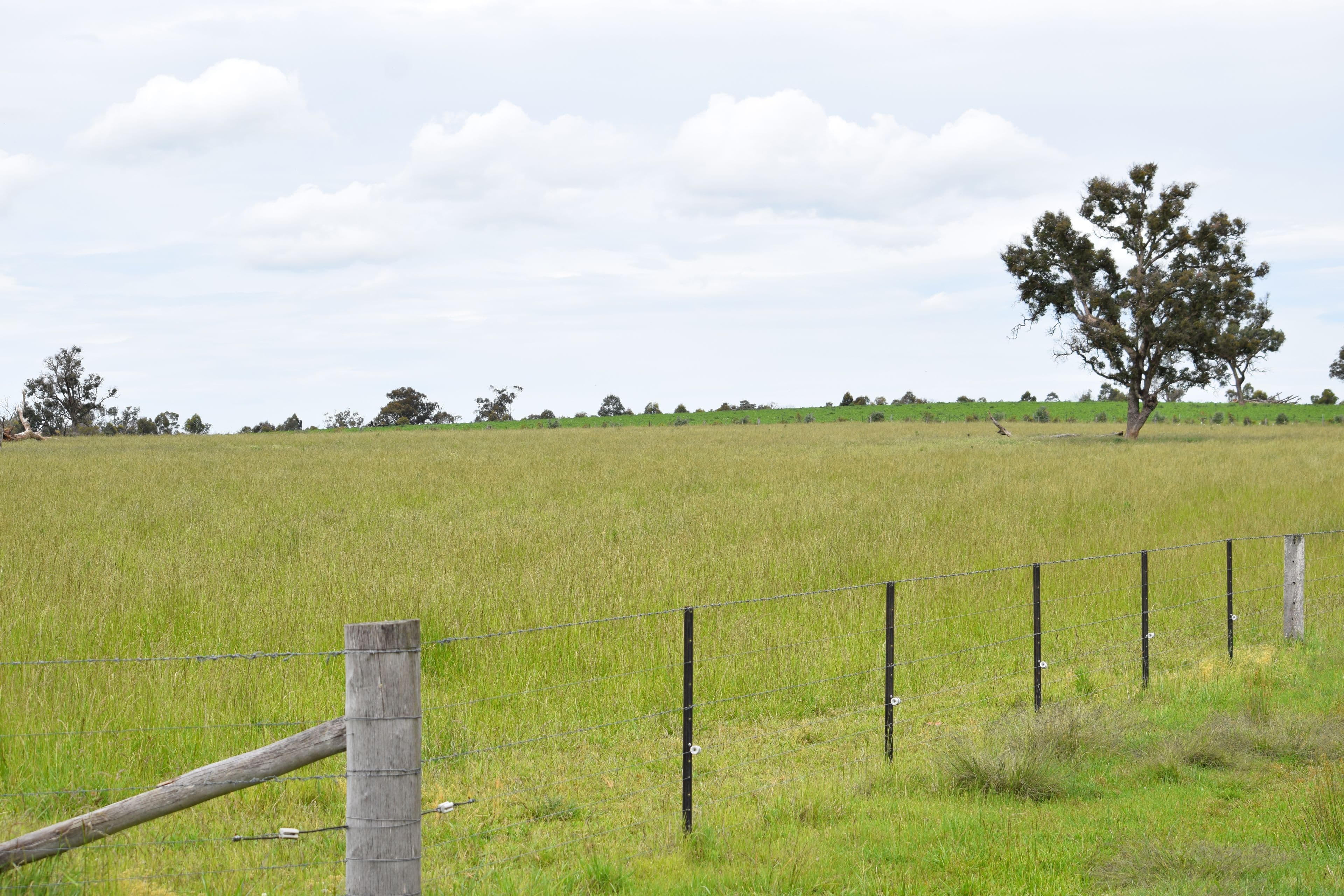 Roseneath 2004 Rangers Valley Road, Glen Innes NSW 2370, Glen Innes - Thumbnail 8