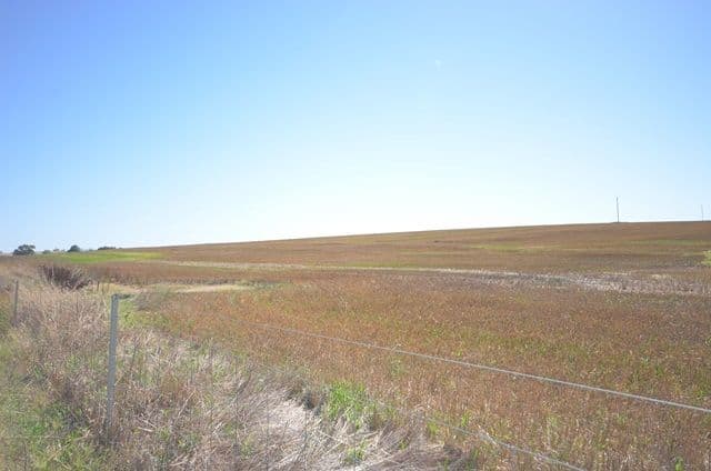 "Waterloo" Main Road 45, Waterloo SA 5413, Waterloo - Thumbnail 5