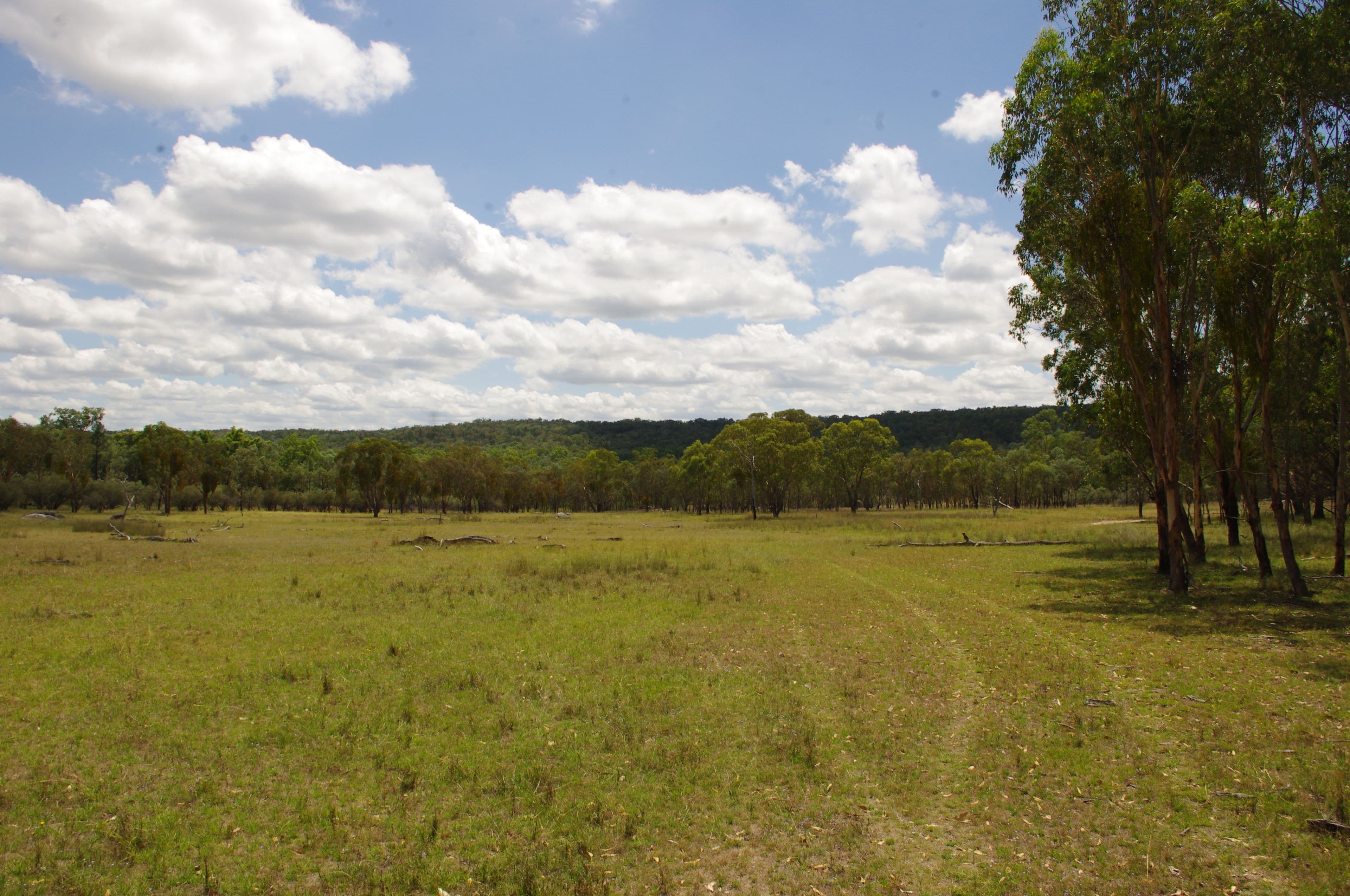 Inverell NSW 2360, Inverell - Thumbnail 2